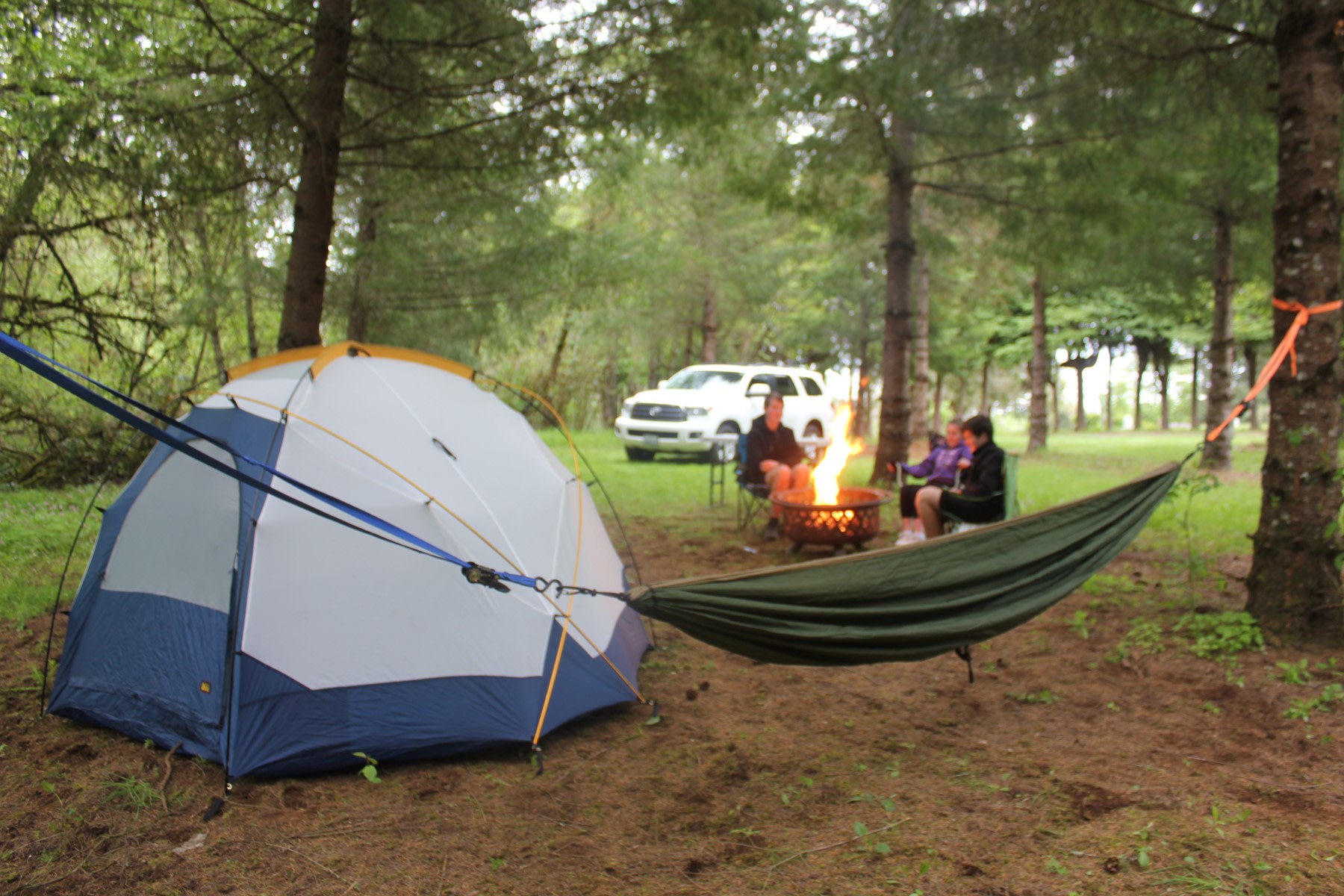 Spacious, Wooded Campsite, Hookups