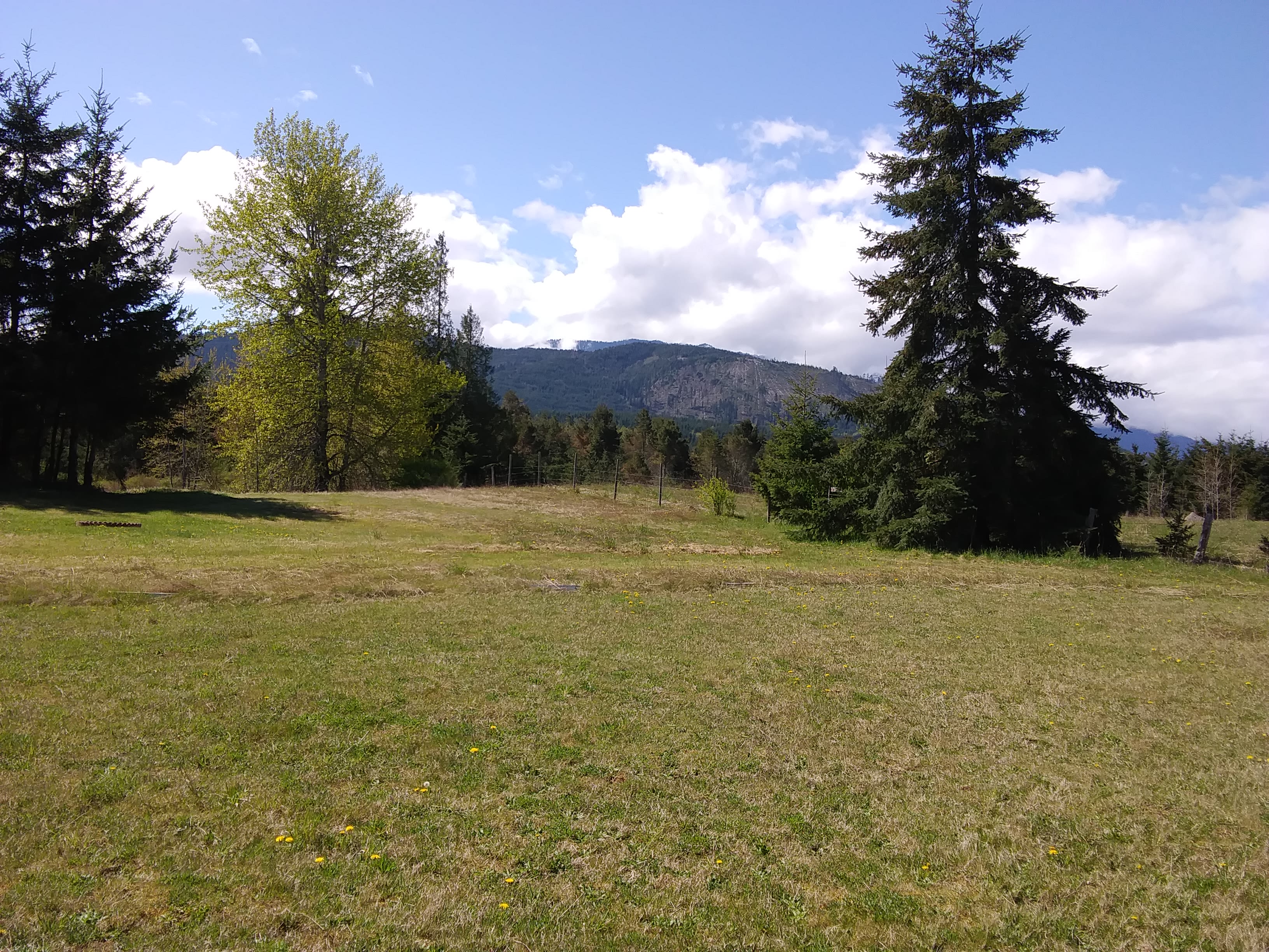 The Olympic Mountains are to our south.