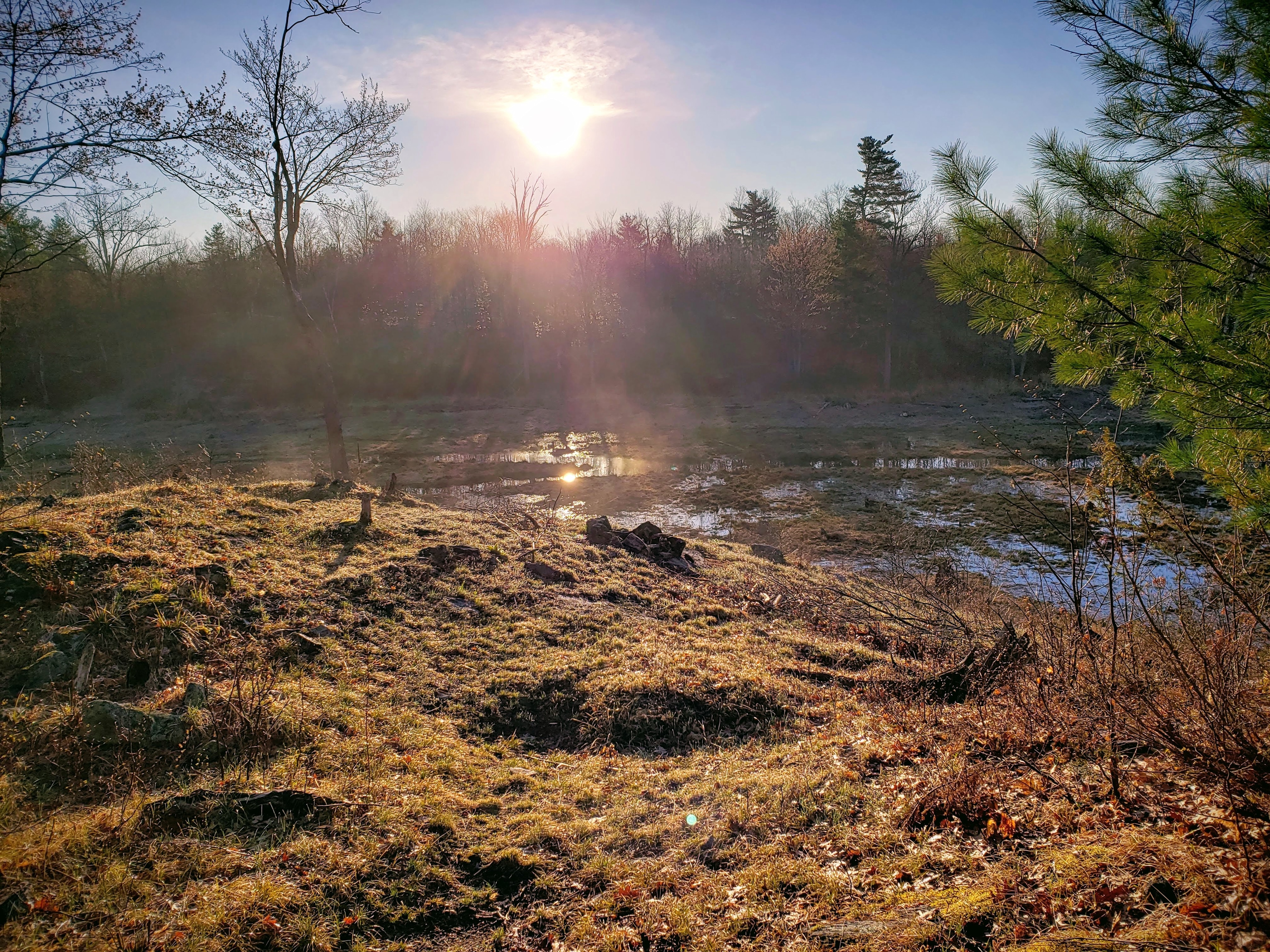 Sun rising over the point