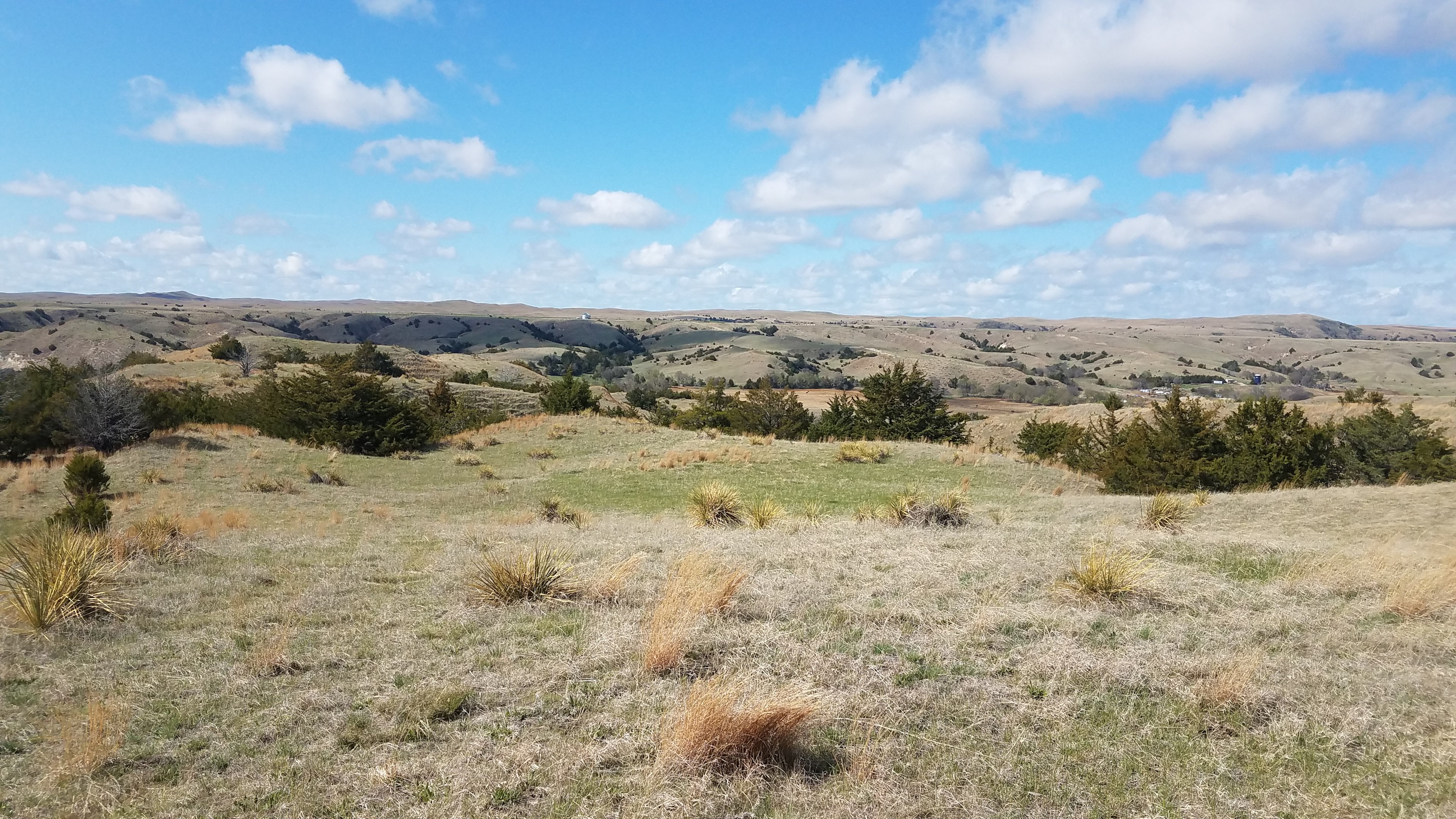looking towards the North East