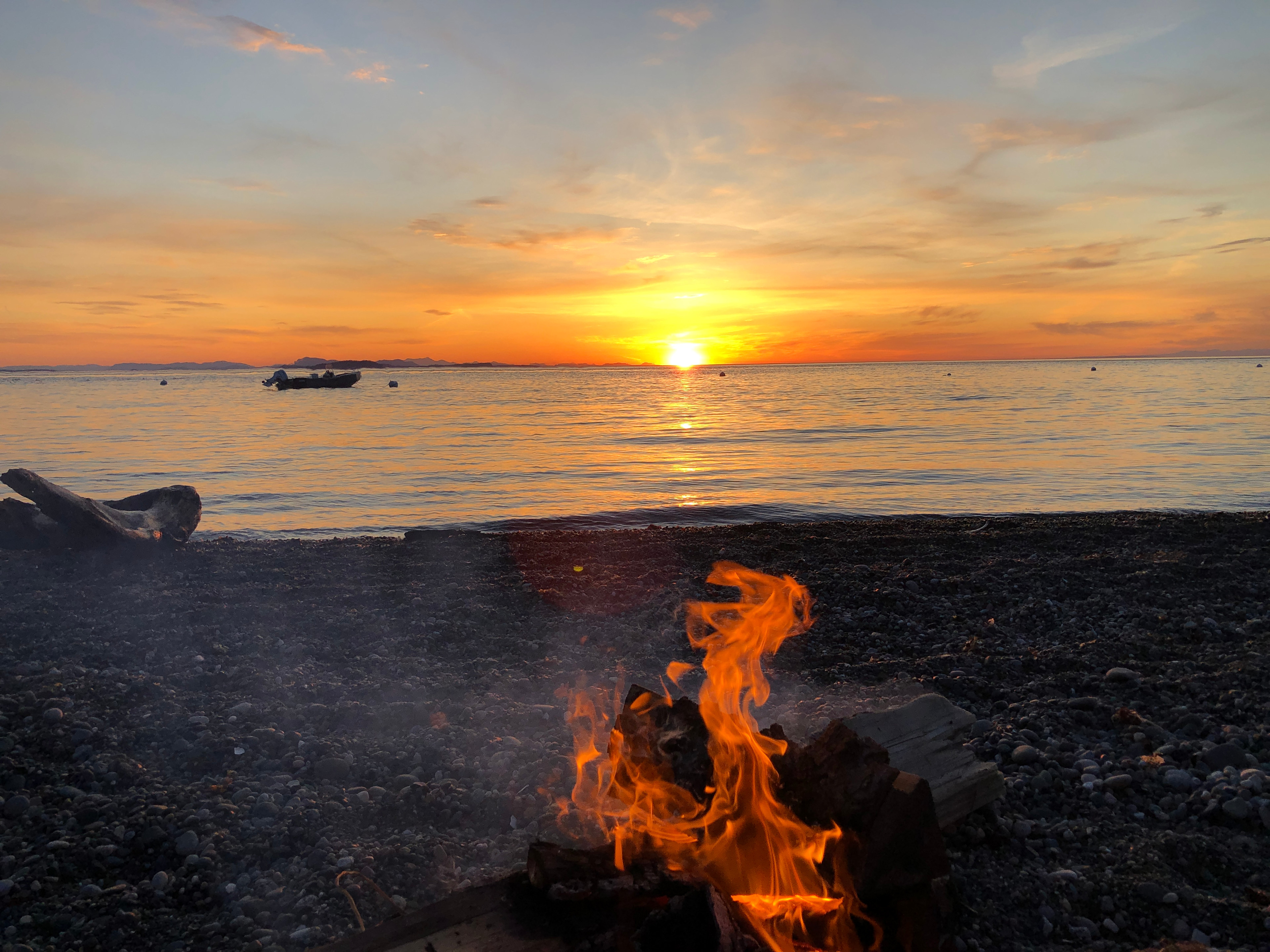 Bob and Rose's RV Pumpkin Patch