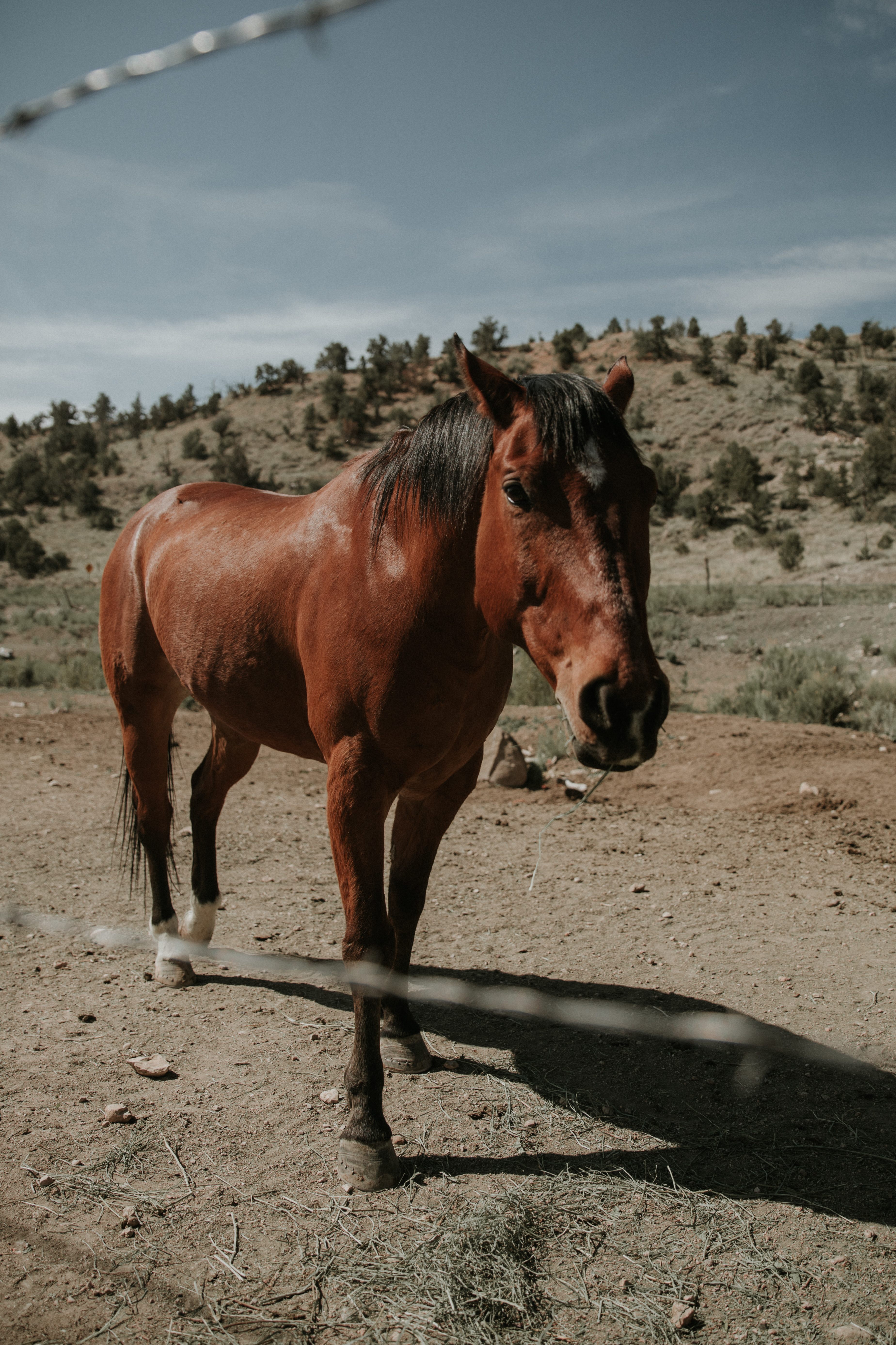 Making friends with the locals!