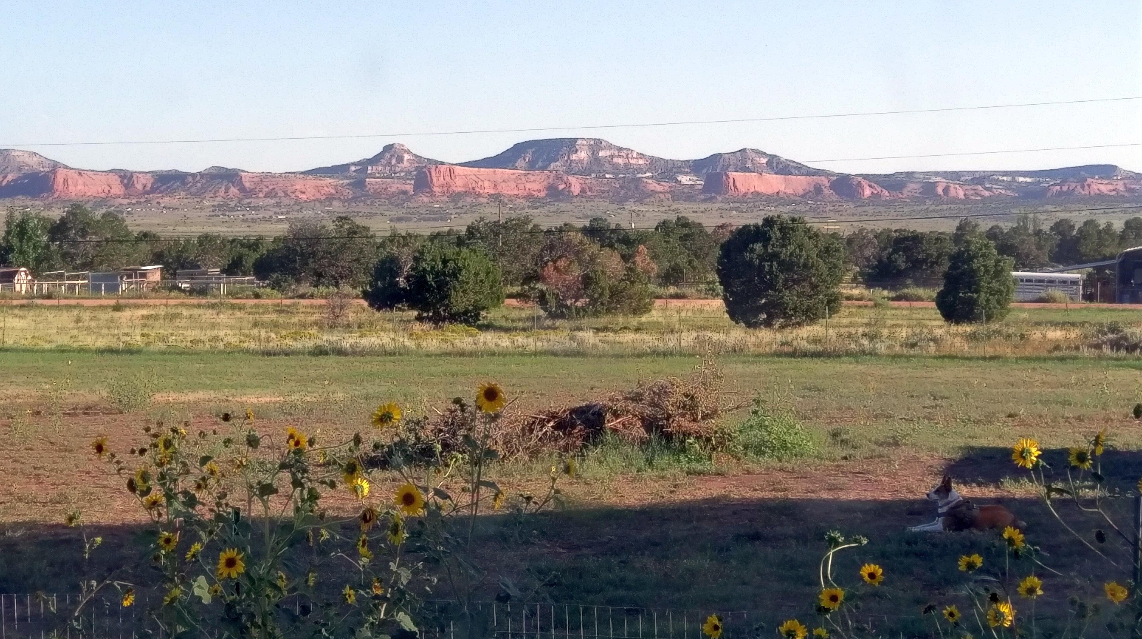 View from the camping site