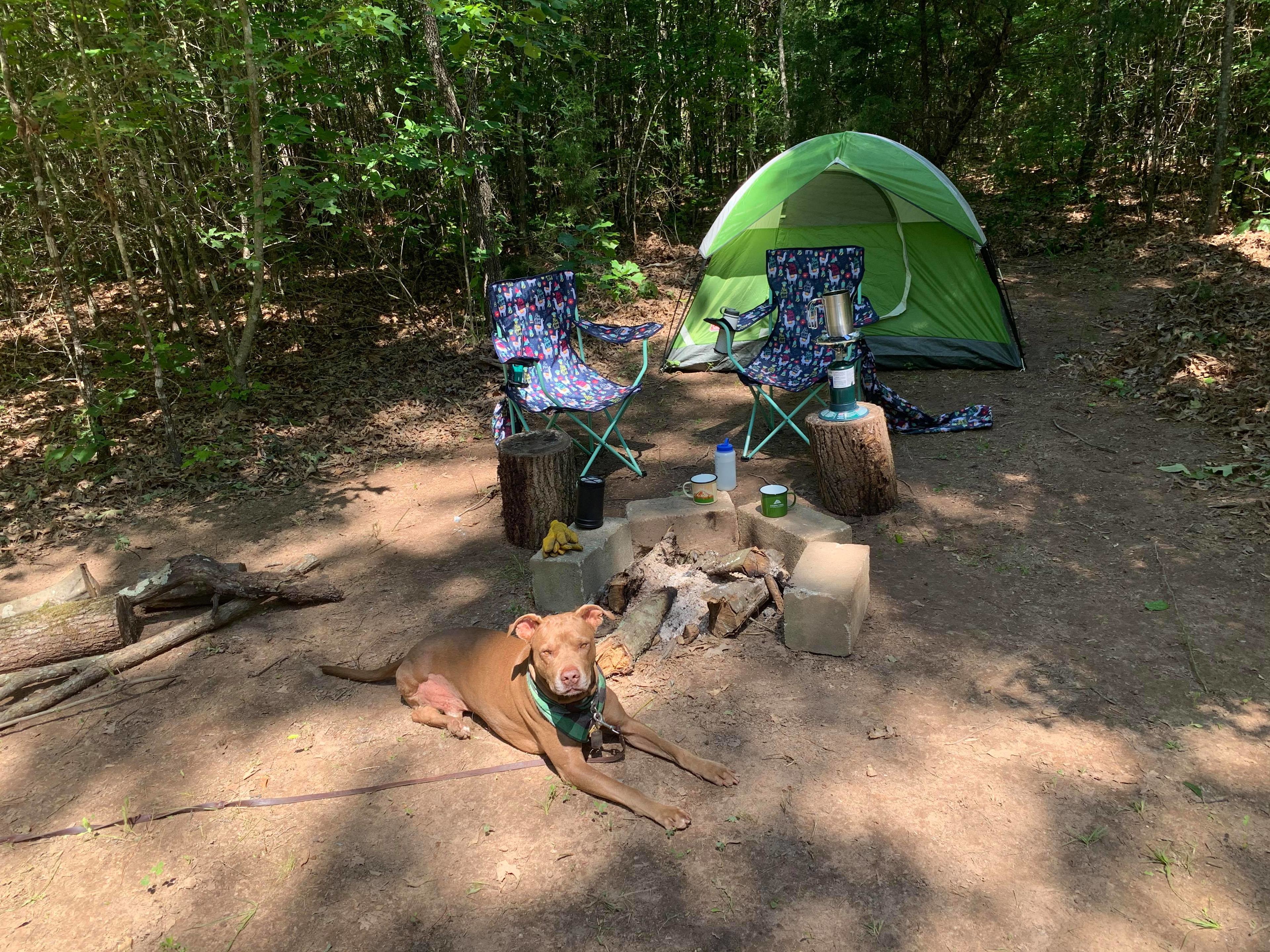 Ask Lynda/Ruston for the 'secluded' campsite- so quiet and lovely!