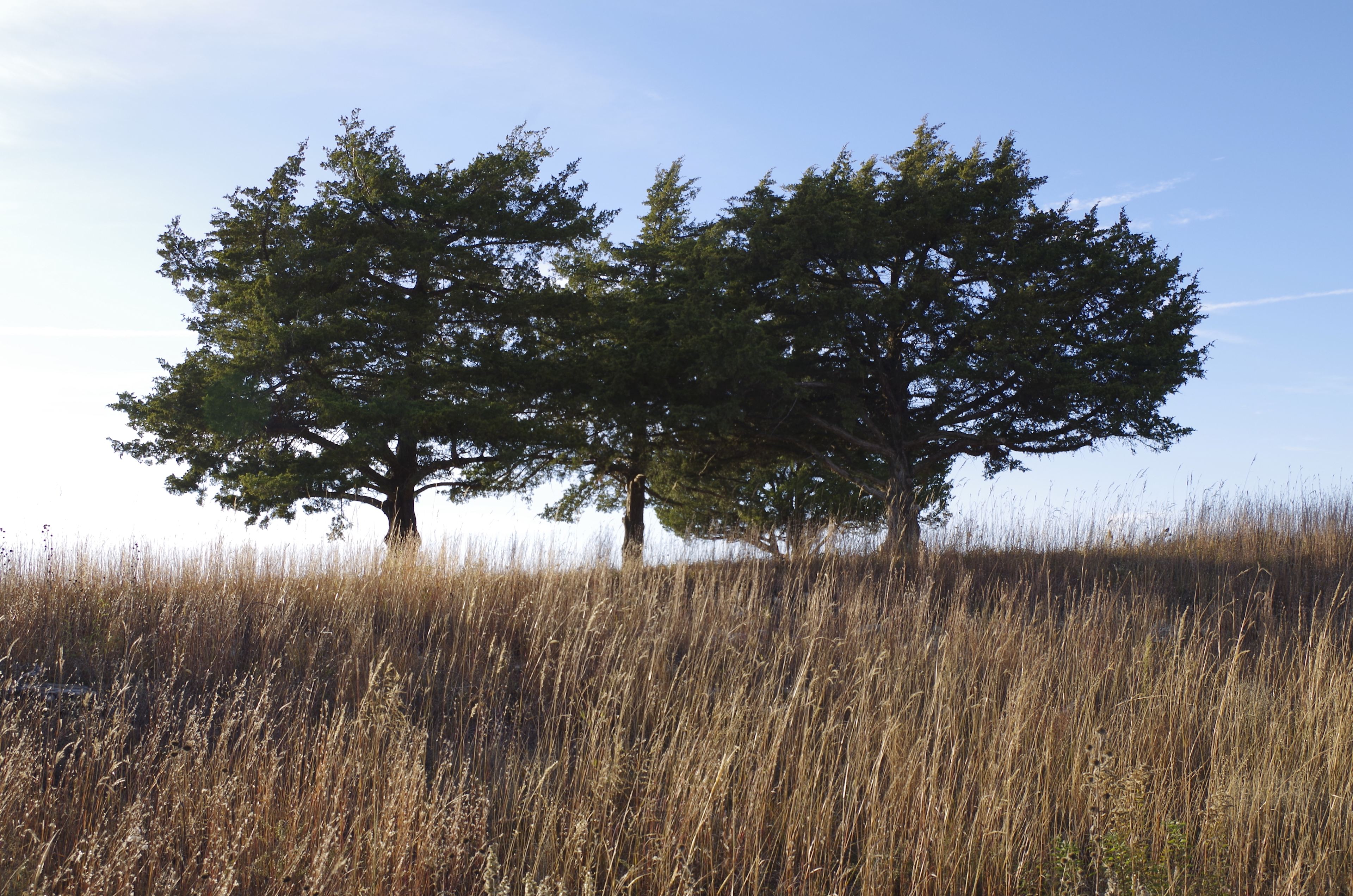 Blue Vista KS Lakeside Getaway