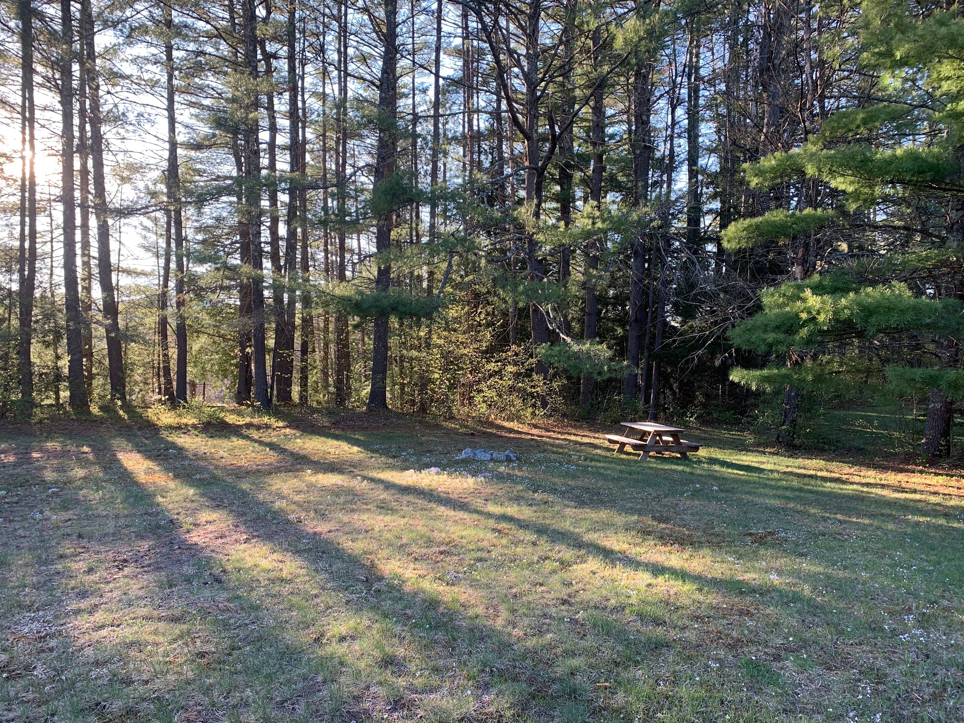 Site 4