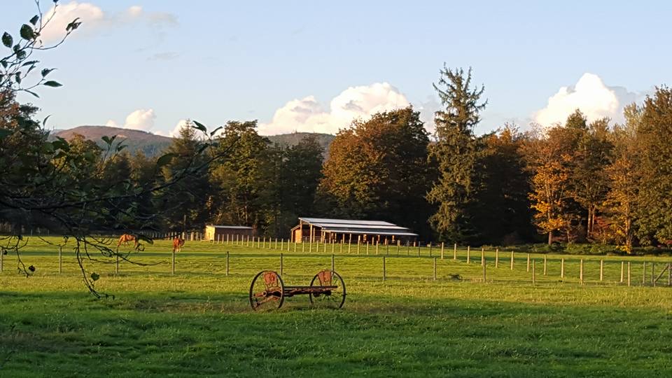 Cornerstone Acres