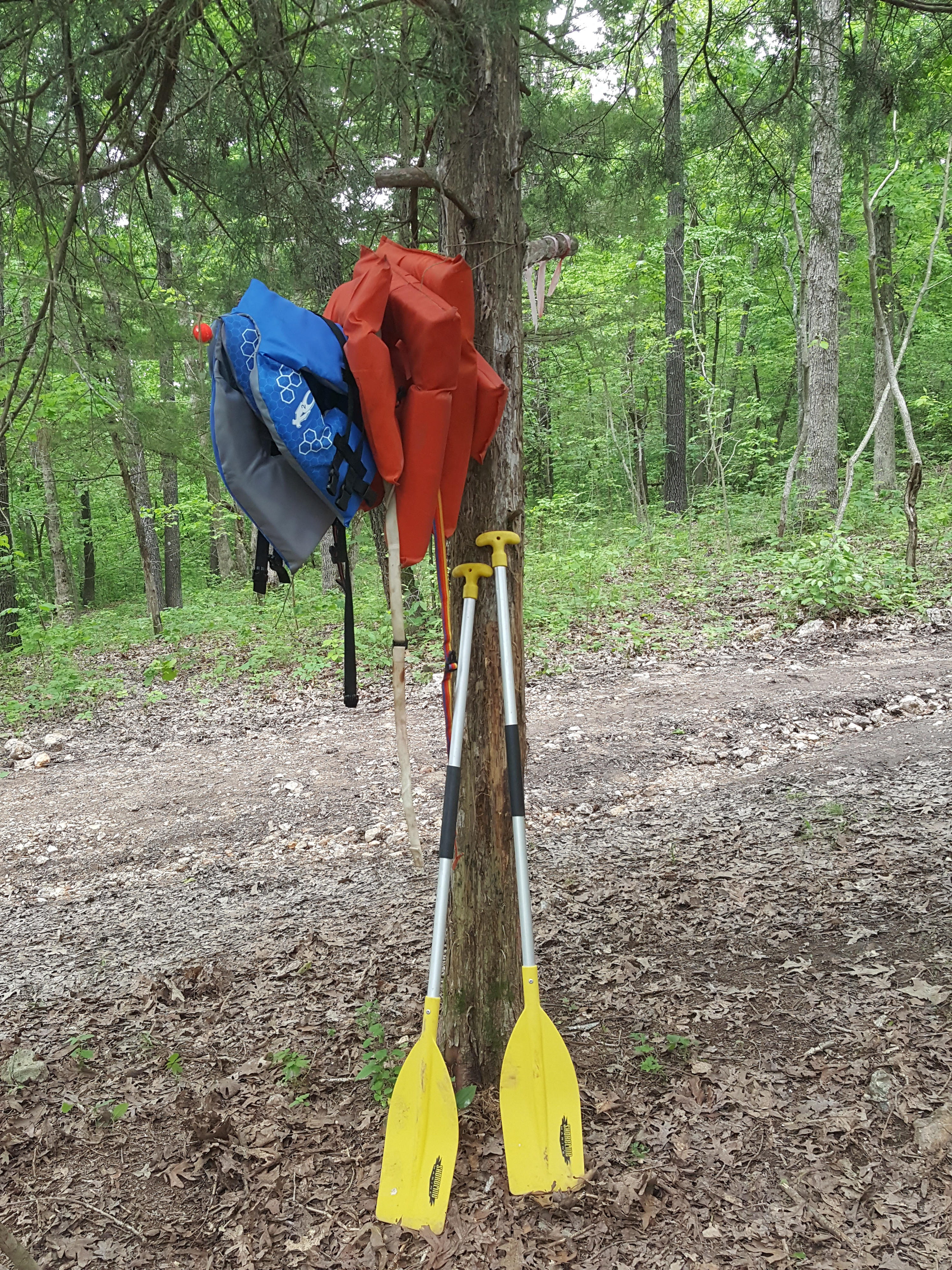 Paddles...jackets...Go!


