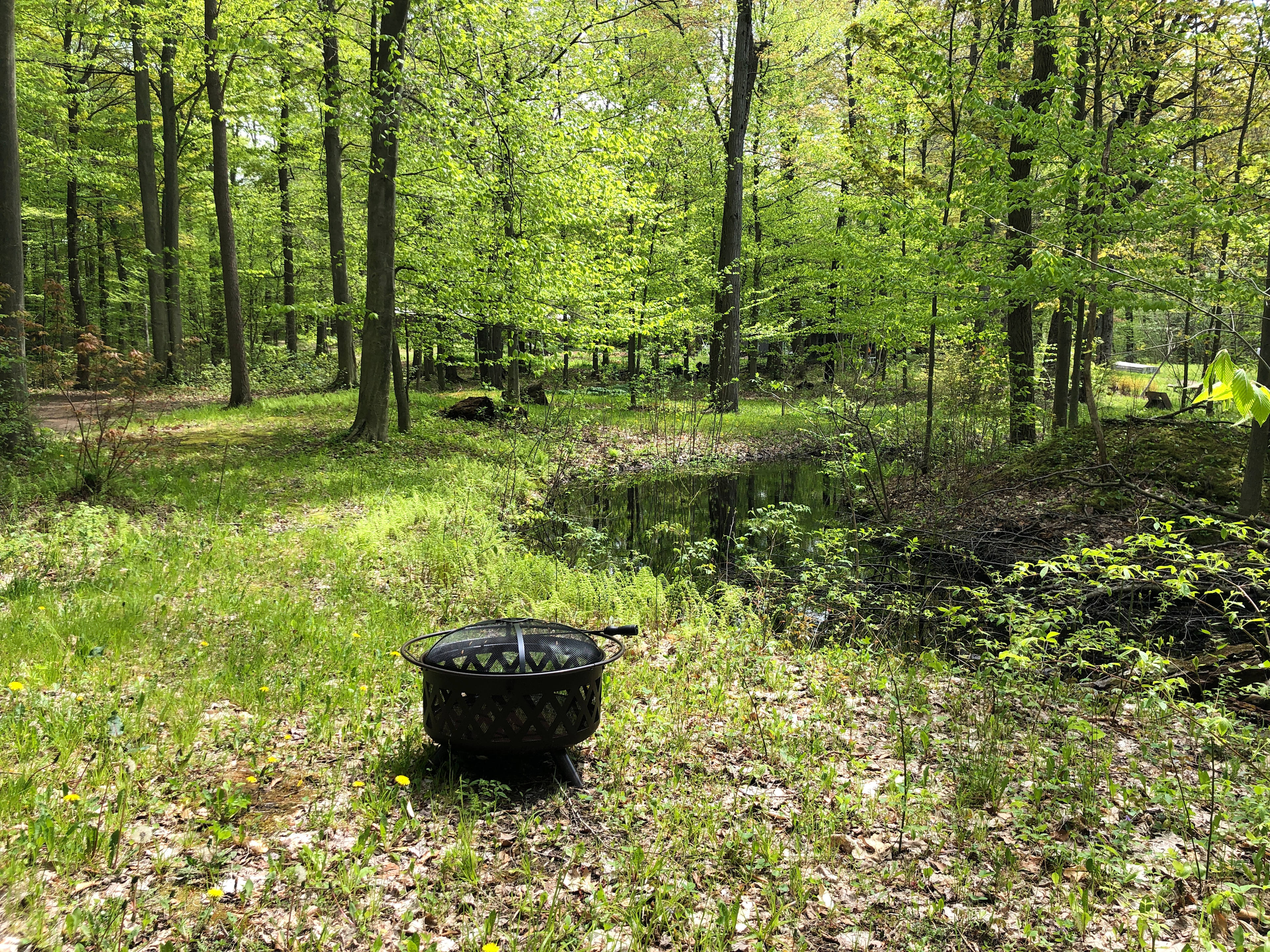 Frog Pond Campsite next to the pond.