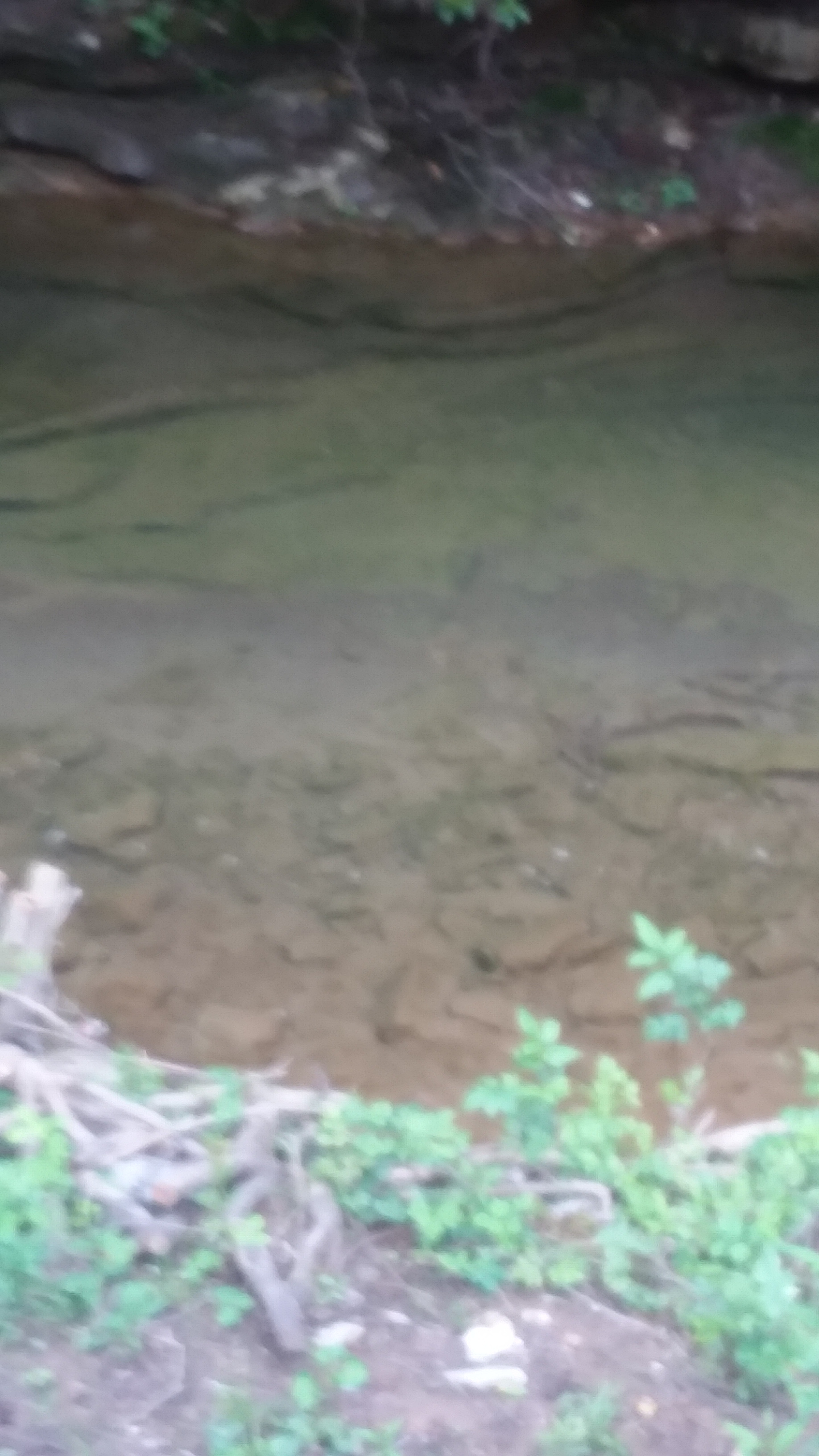 Beautiful water! 