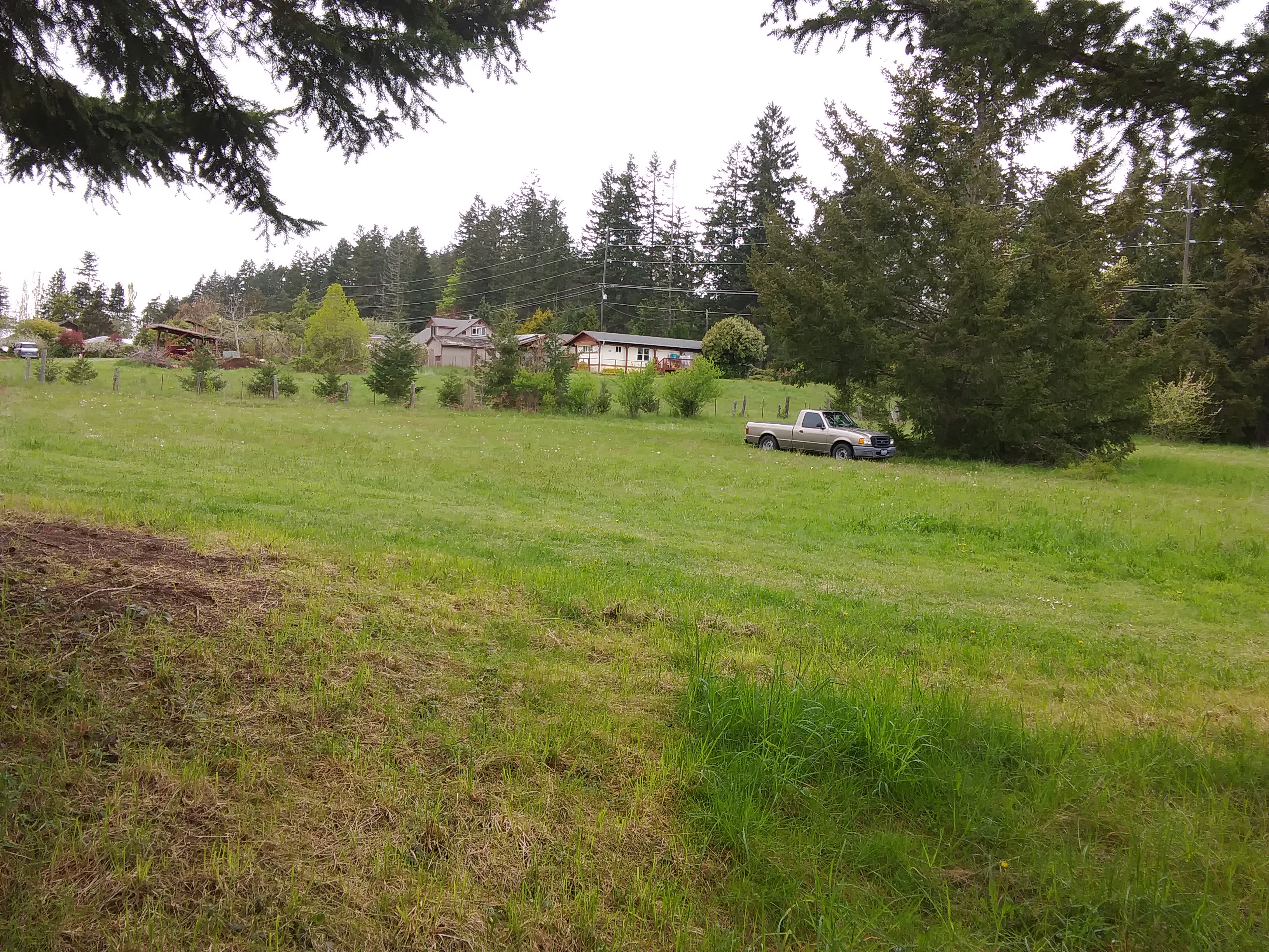 Camping field