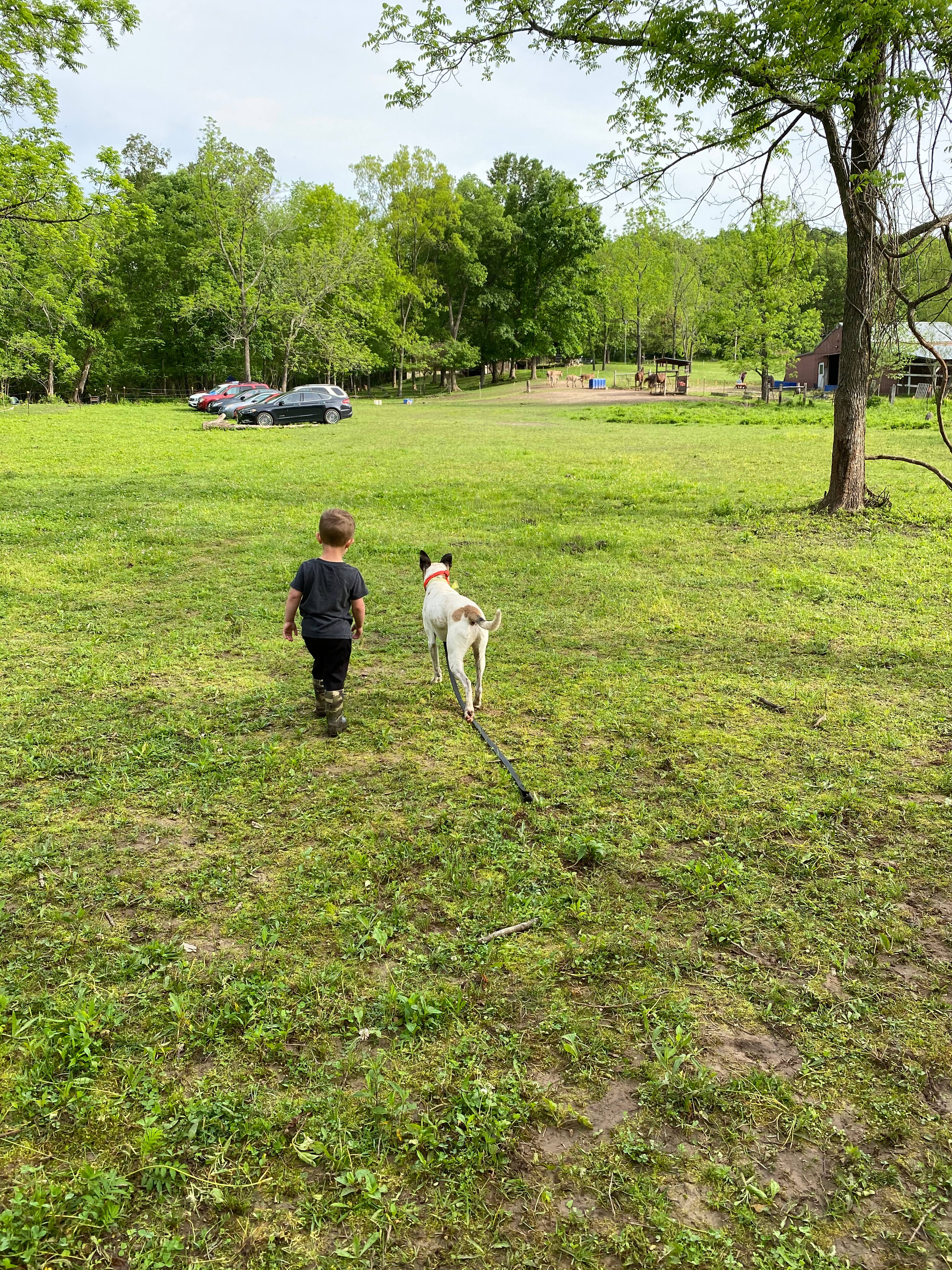 Hummingbird Hollow Outdoors