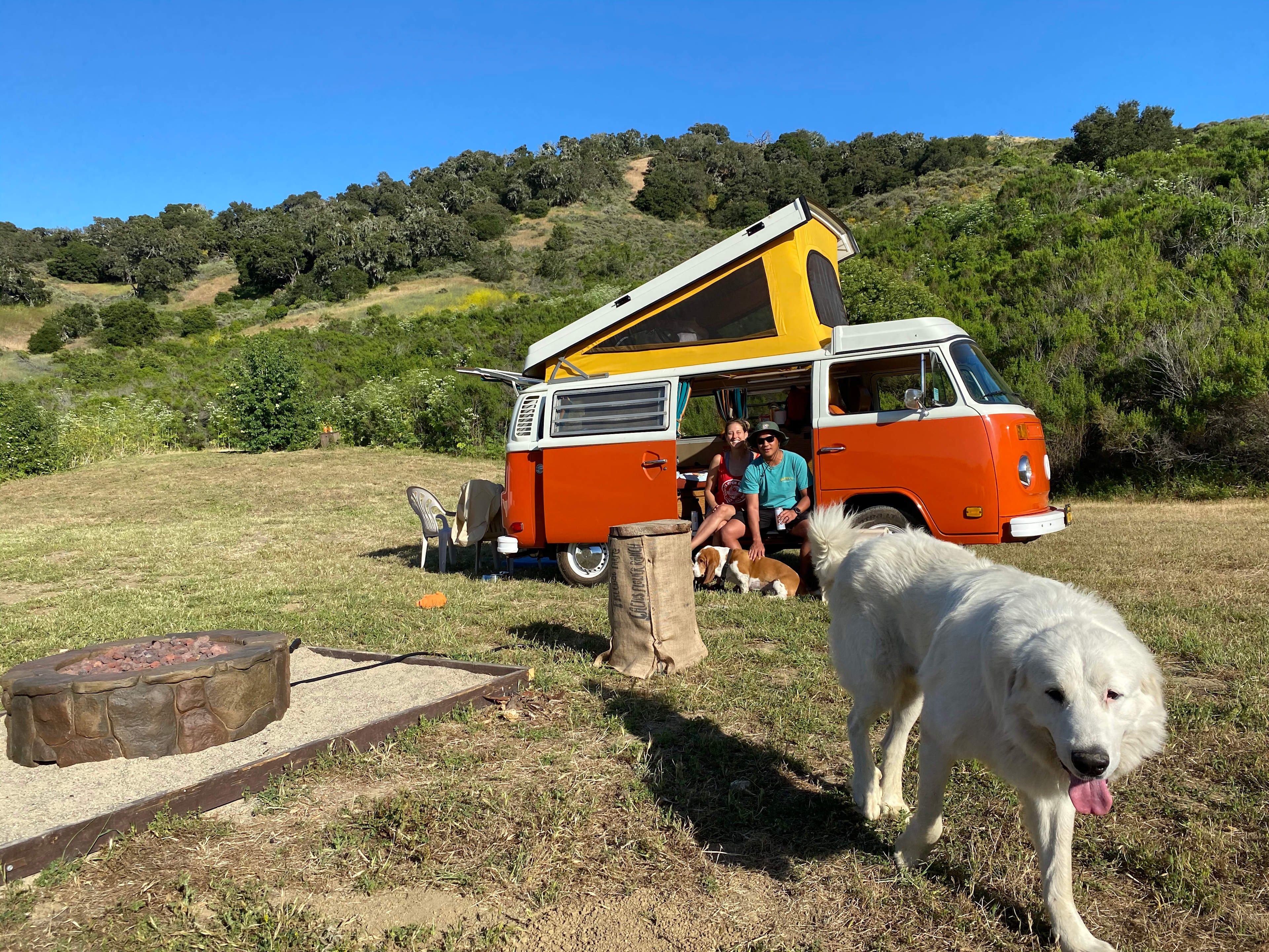 Freedog Farms @ Cactus Flower Ranch