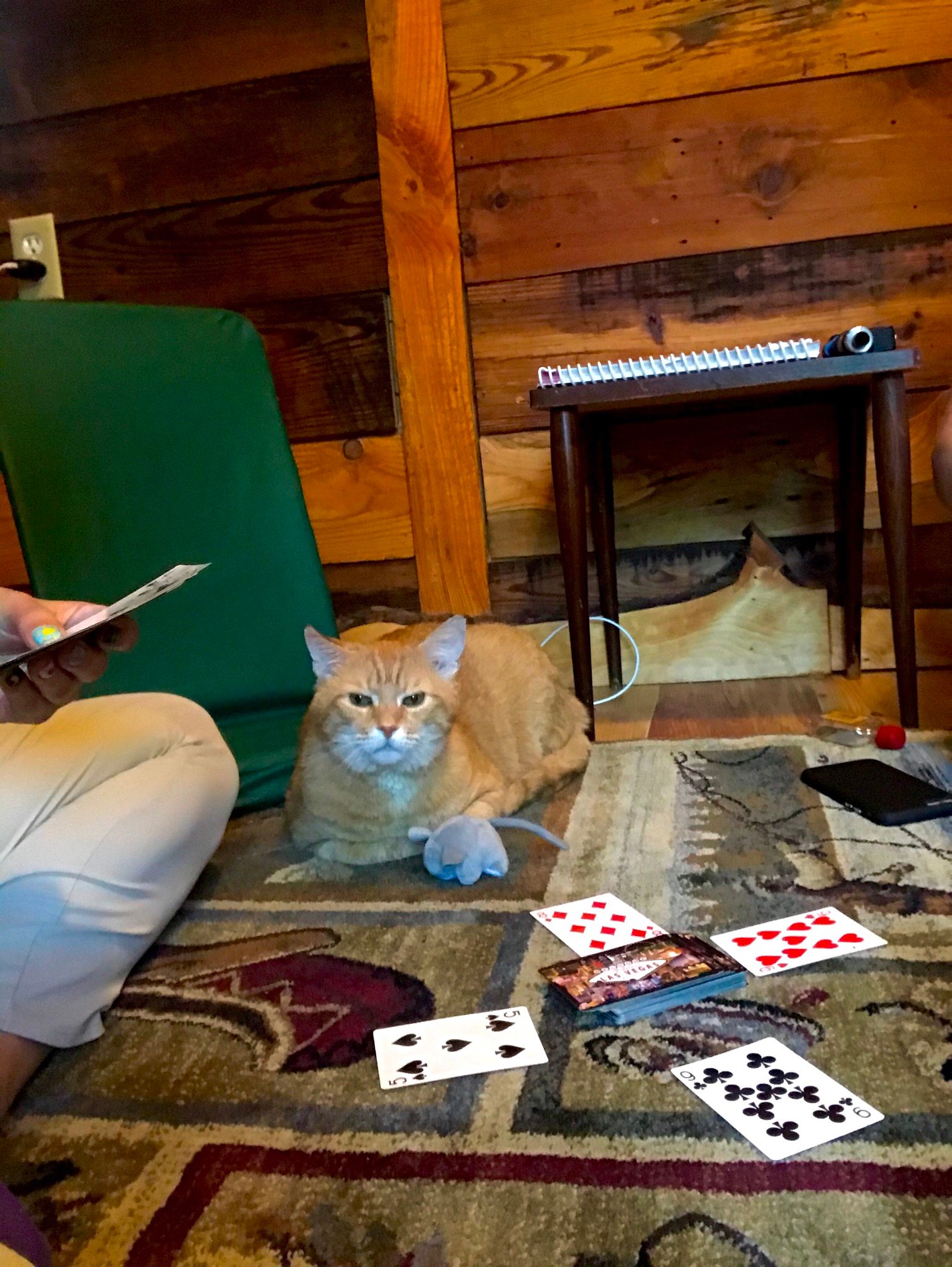 The Forest Sanctuary