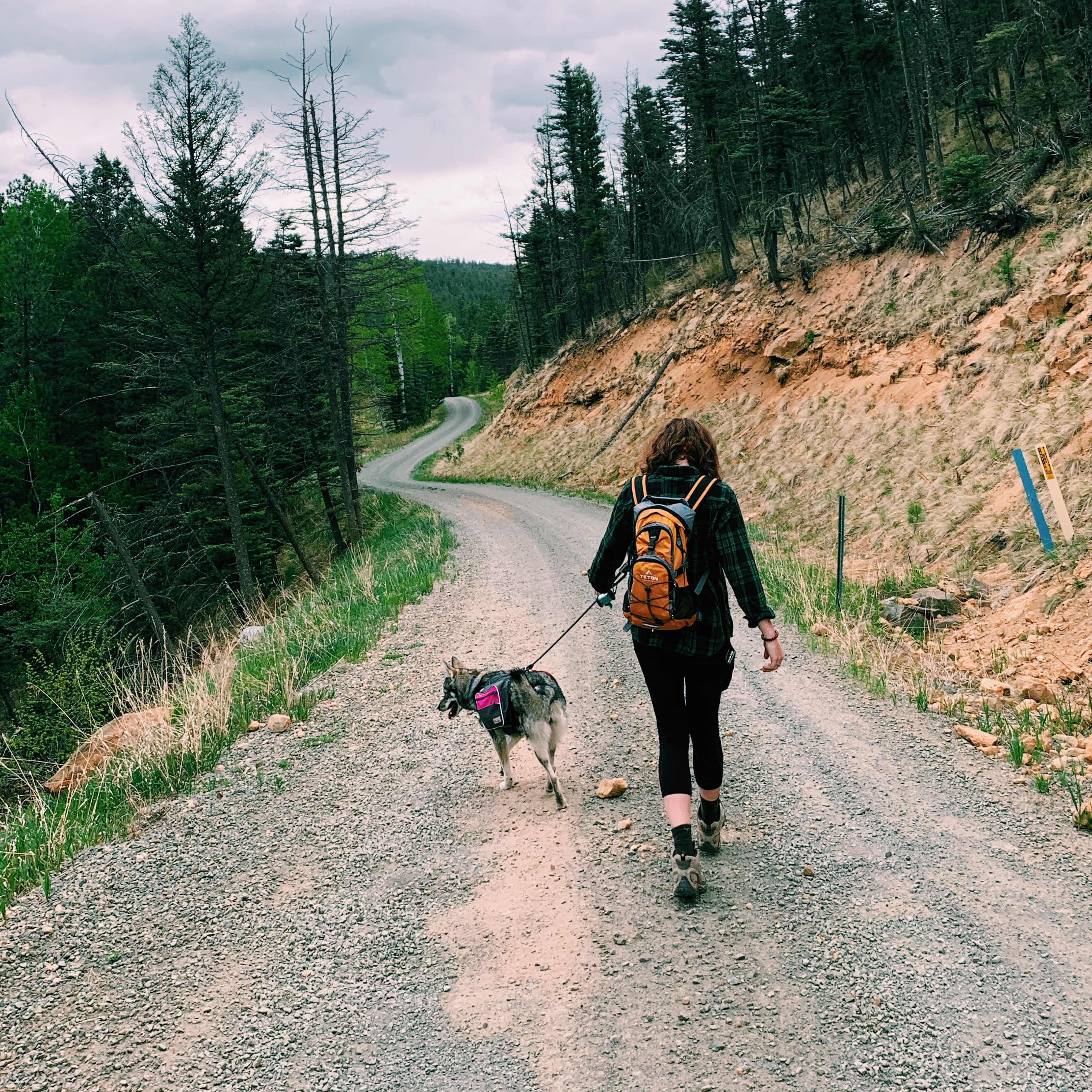 Earth Mountain Education Farm