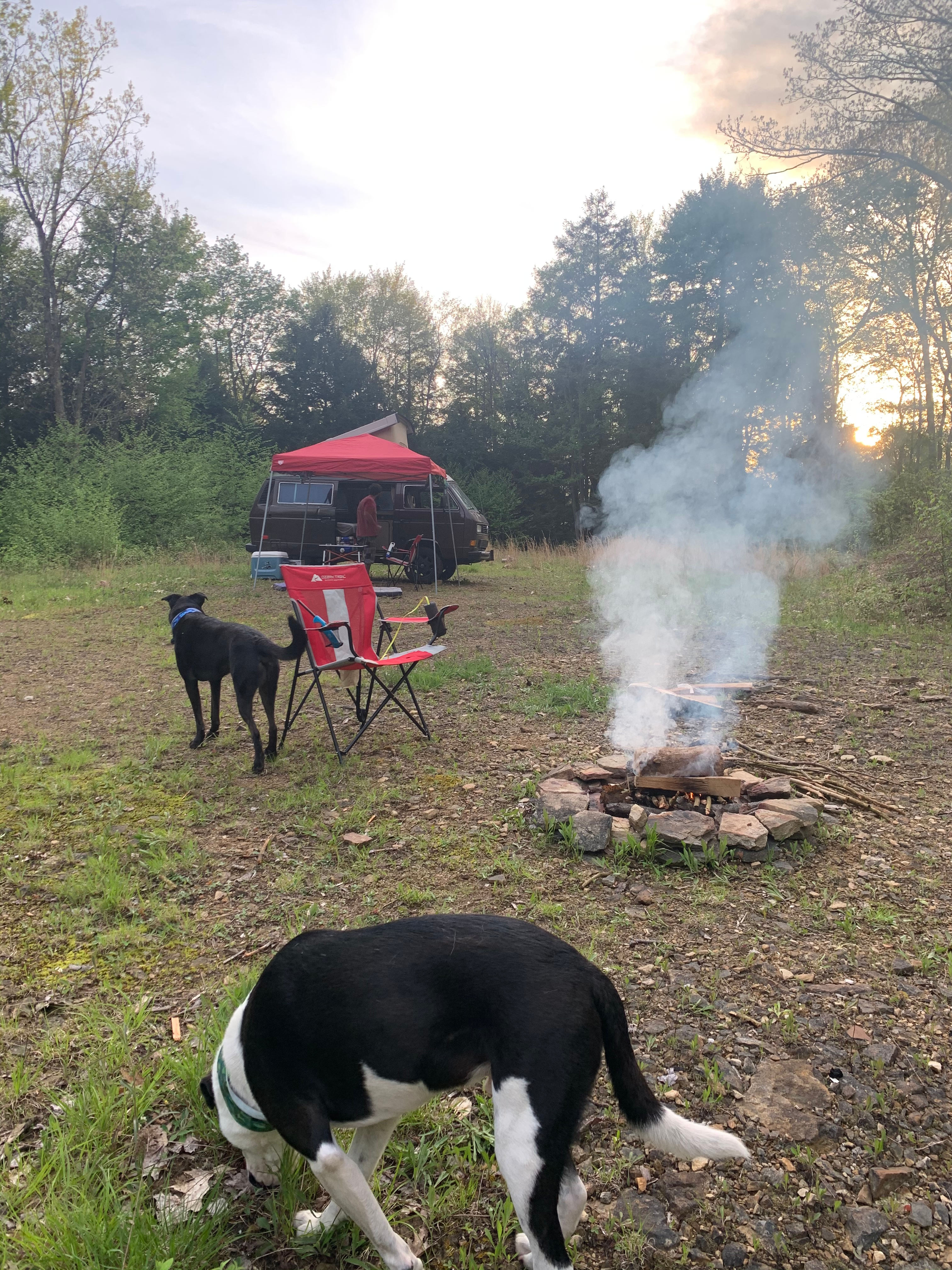 Boondocks campsite with ample room, small fire pit and beautiful trees surrounding. Perfect for star gazing. 