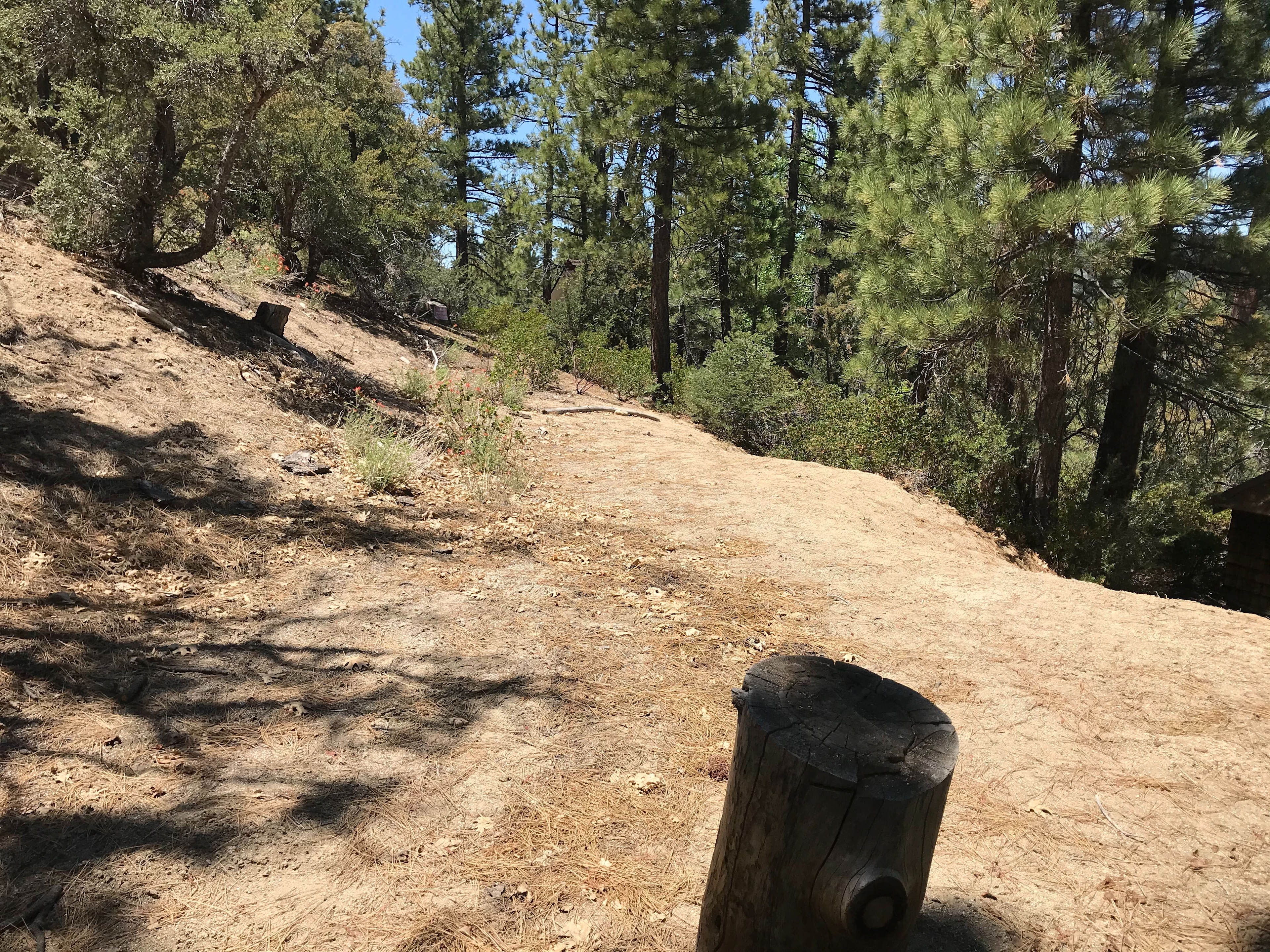Mountain Top Campsite