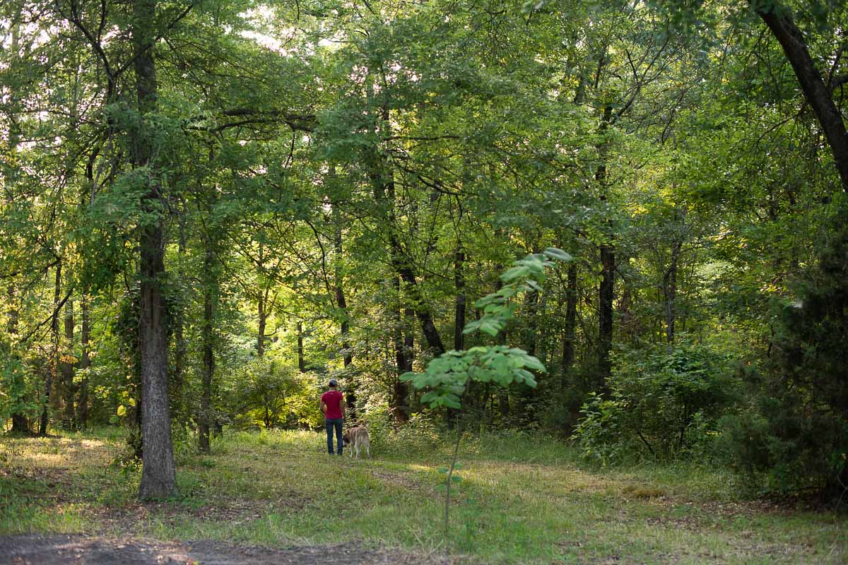 Amazing nature to explore