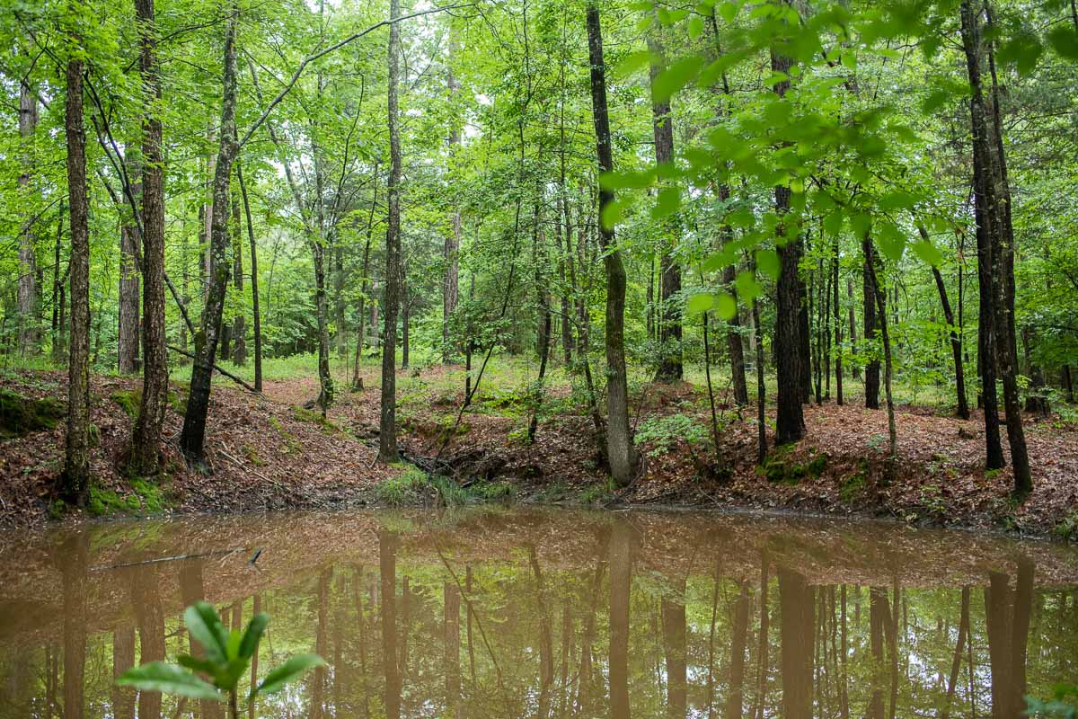 Barefoot Gee's Texas