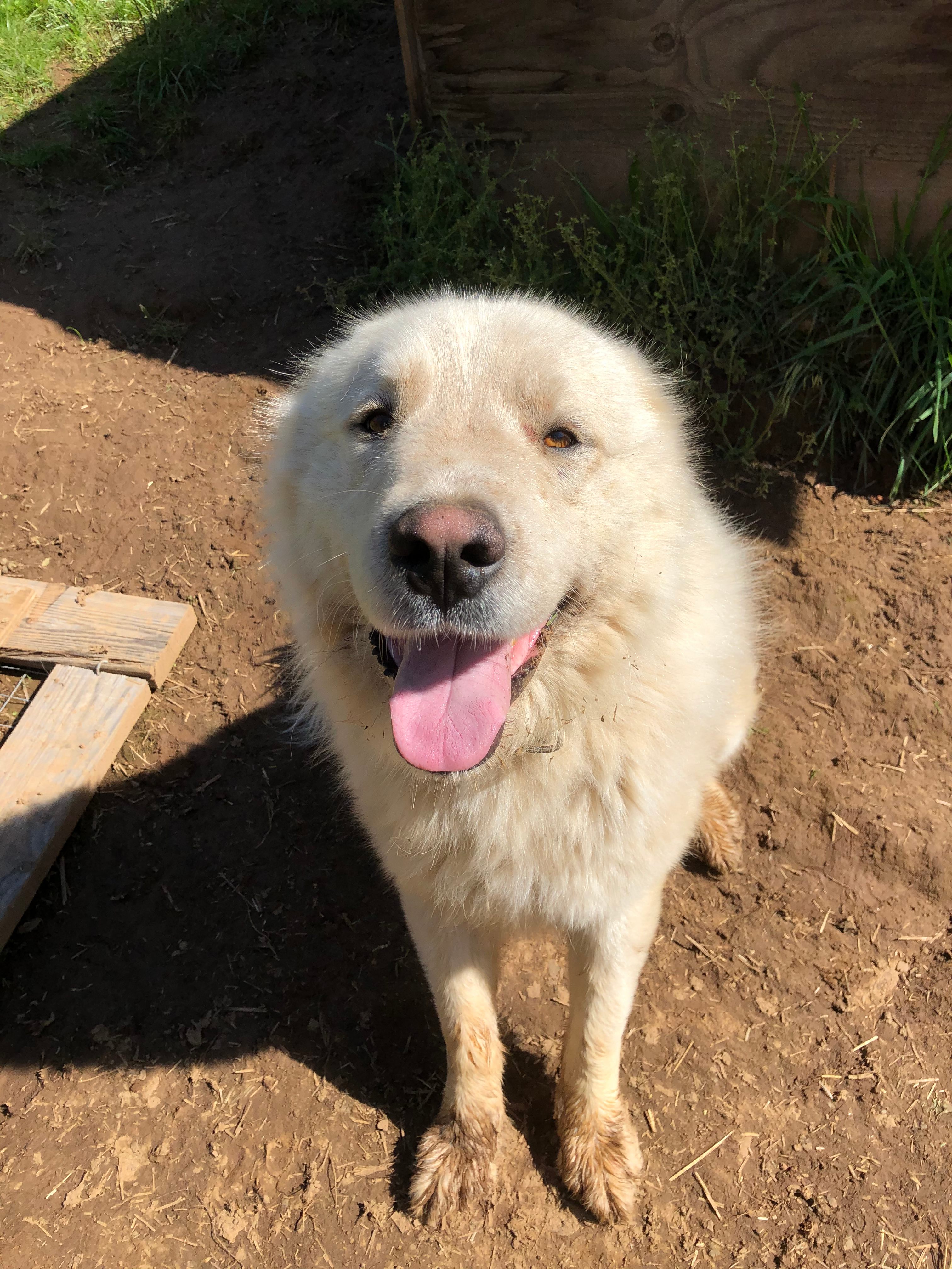 Grateful Valley Land