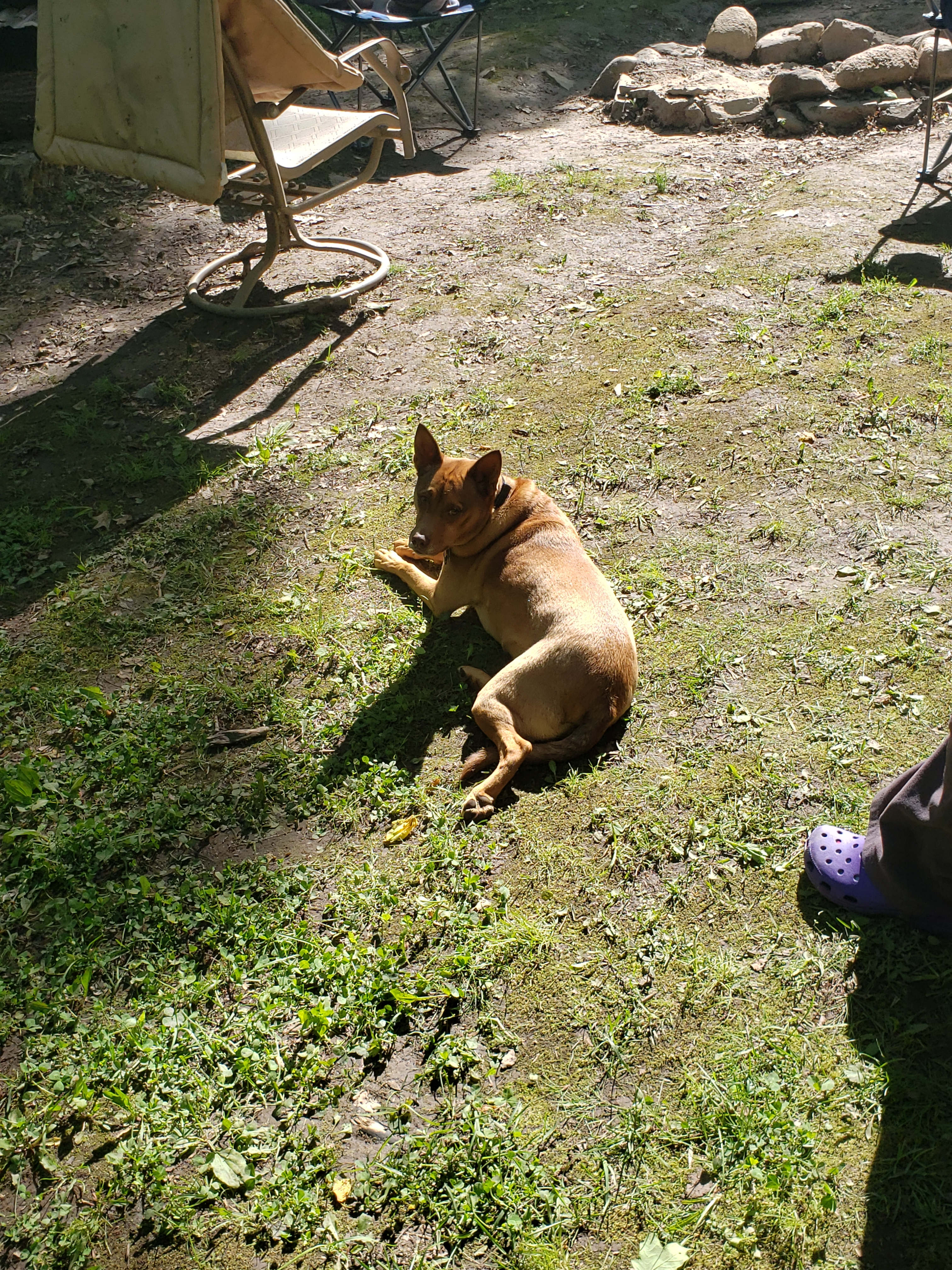 Bluff Hollow Camp on the Root River