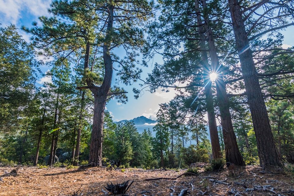 Buckhorn Camp