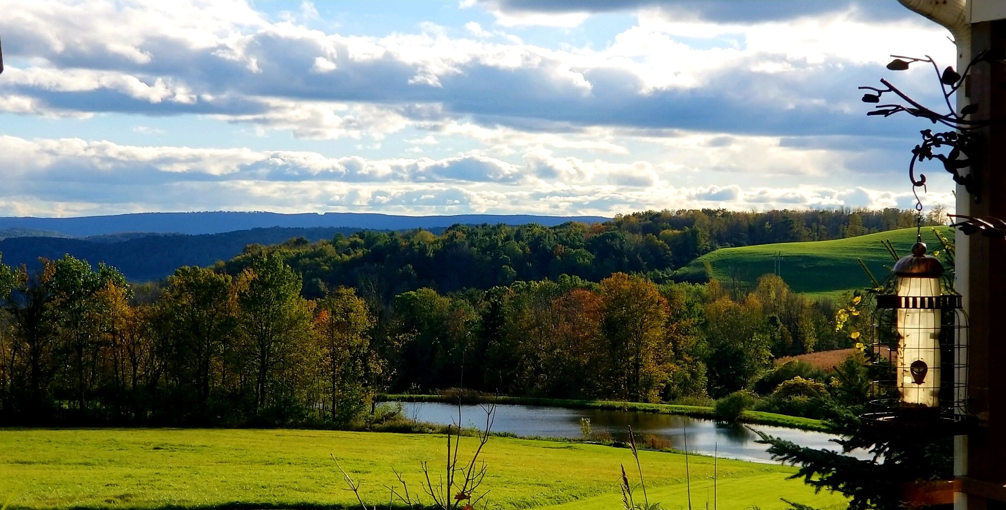 This is the pond you will be camping next to! 