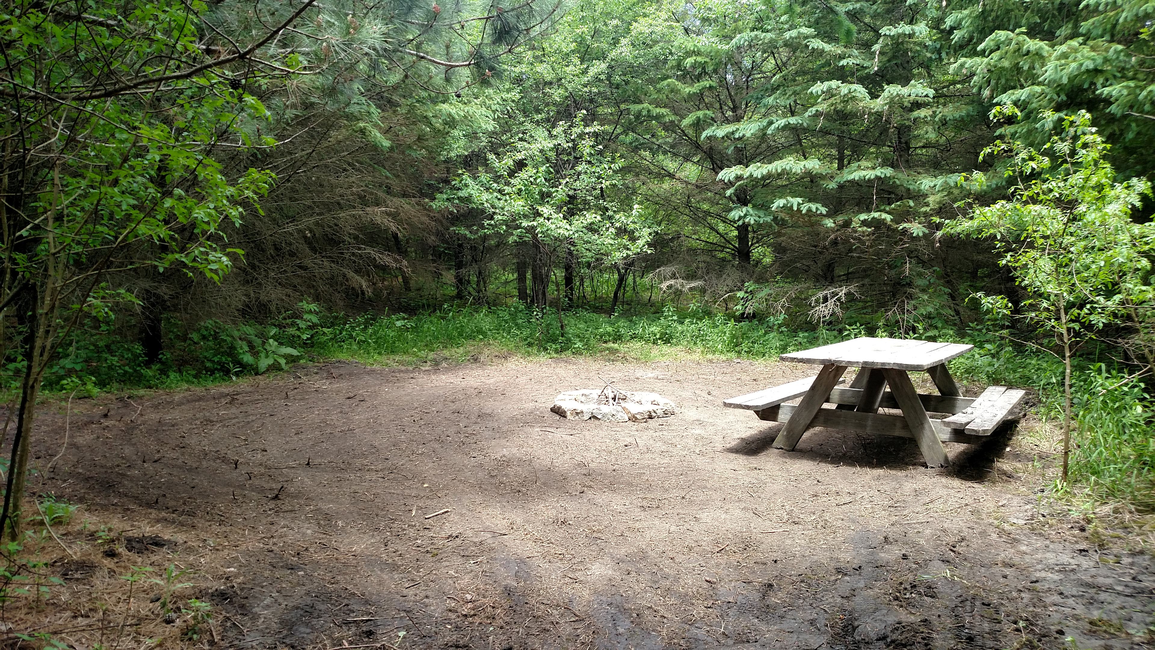 Site 2 In the Pines