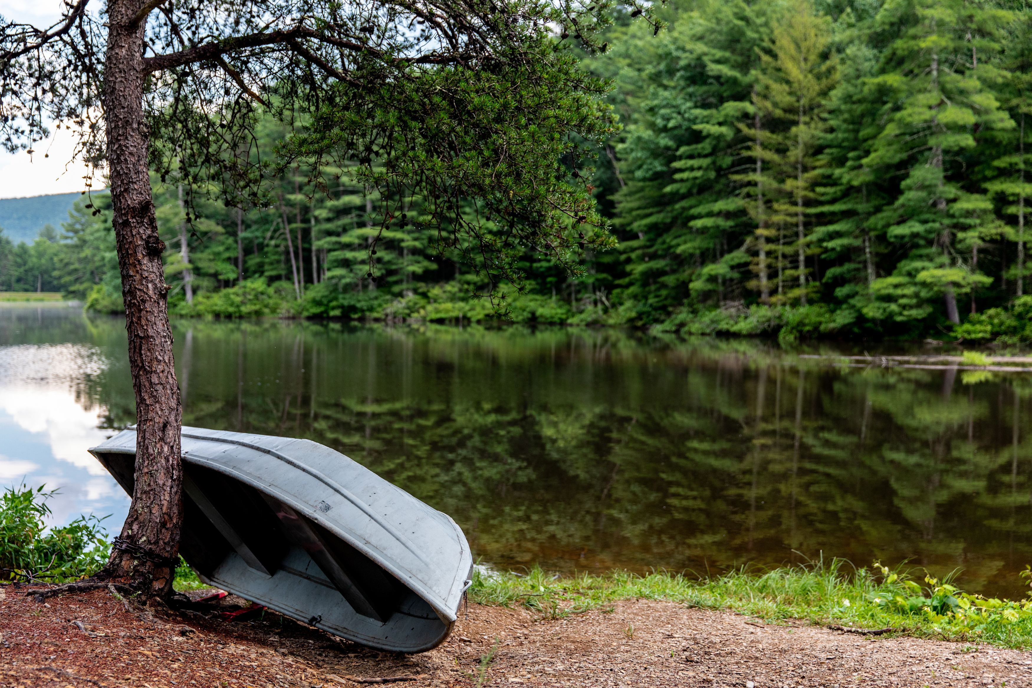 Go boating, kayaking, canoeing, or swimming in the beautiful lake.