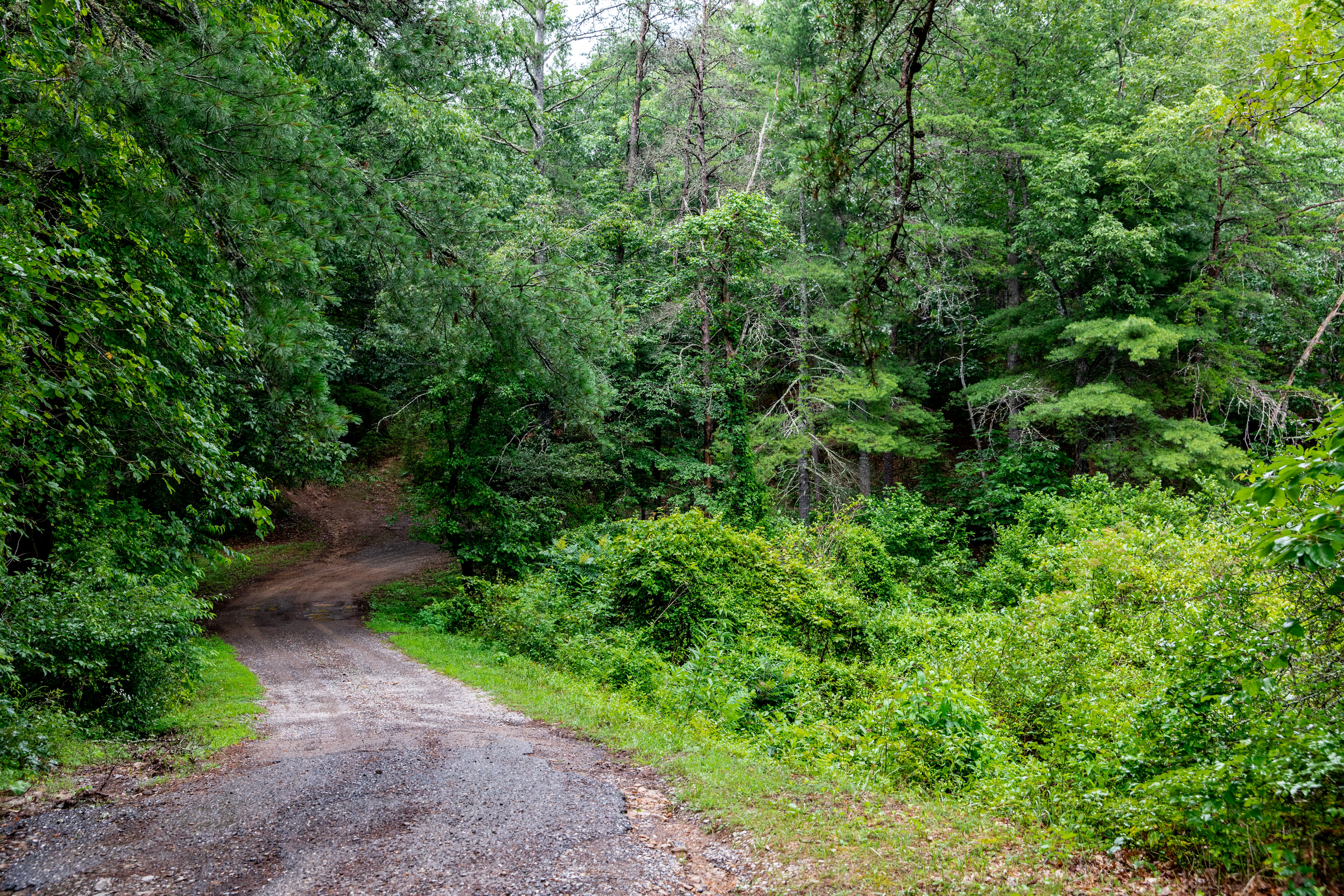 The winding road that leads you to the campgrounds. This is truly a secluded get-away spot!