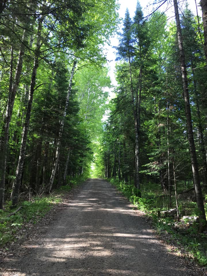 Our driveway to the campsites.