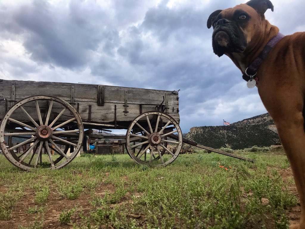 LZJ Ranch's Hiawatha Hideout!