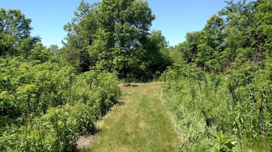 Trail entering Site 4 Hilltop Prairie.