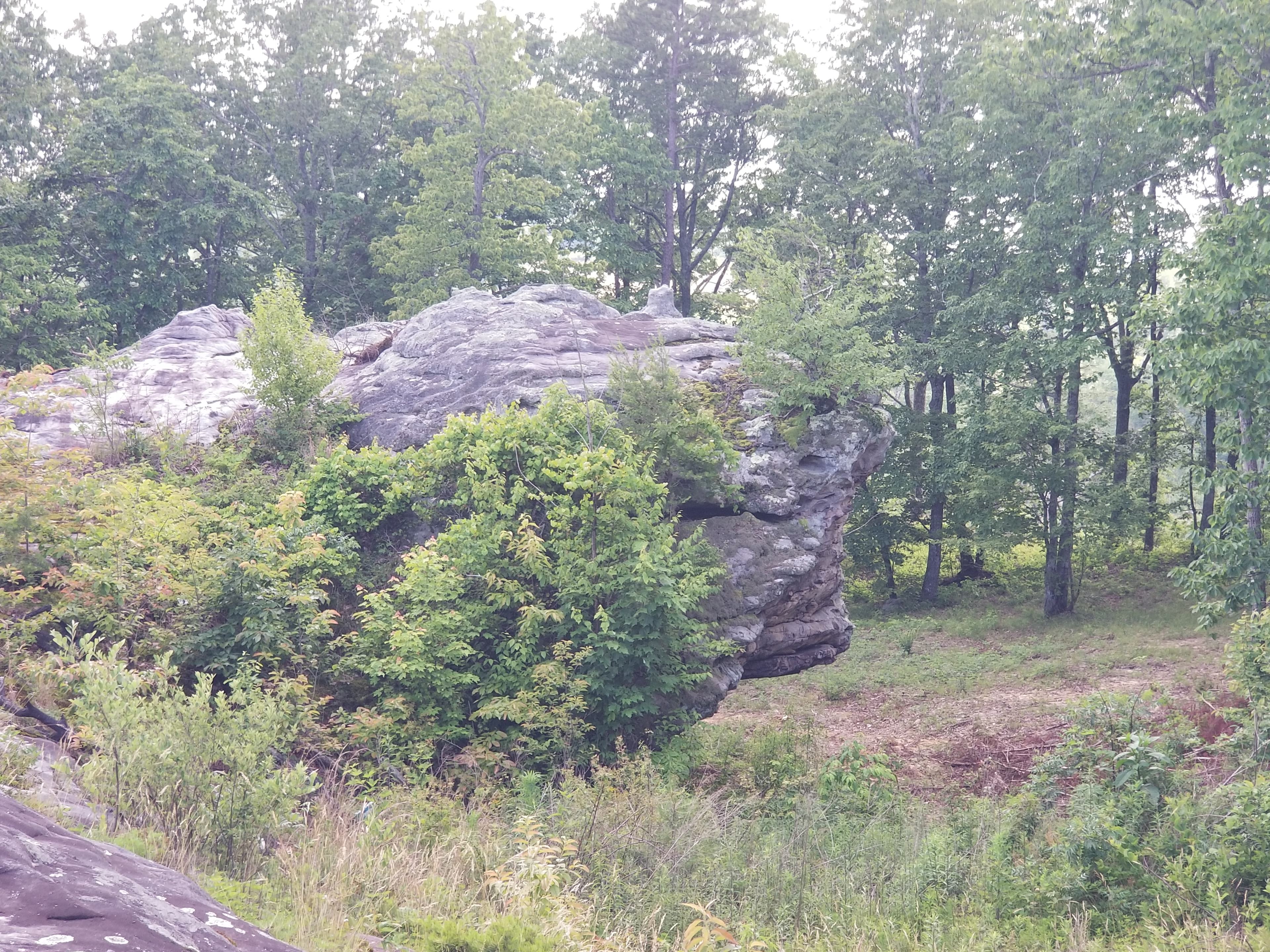 South Suckcreek Campground