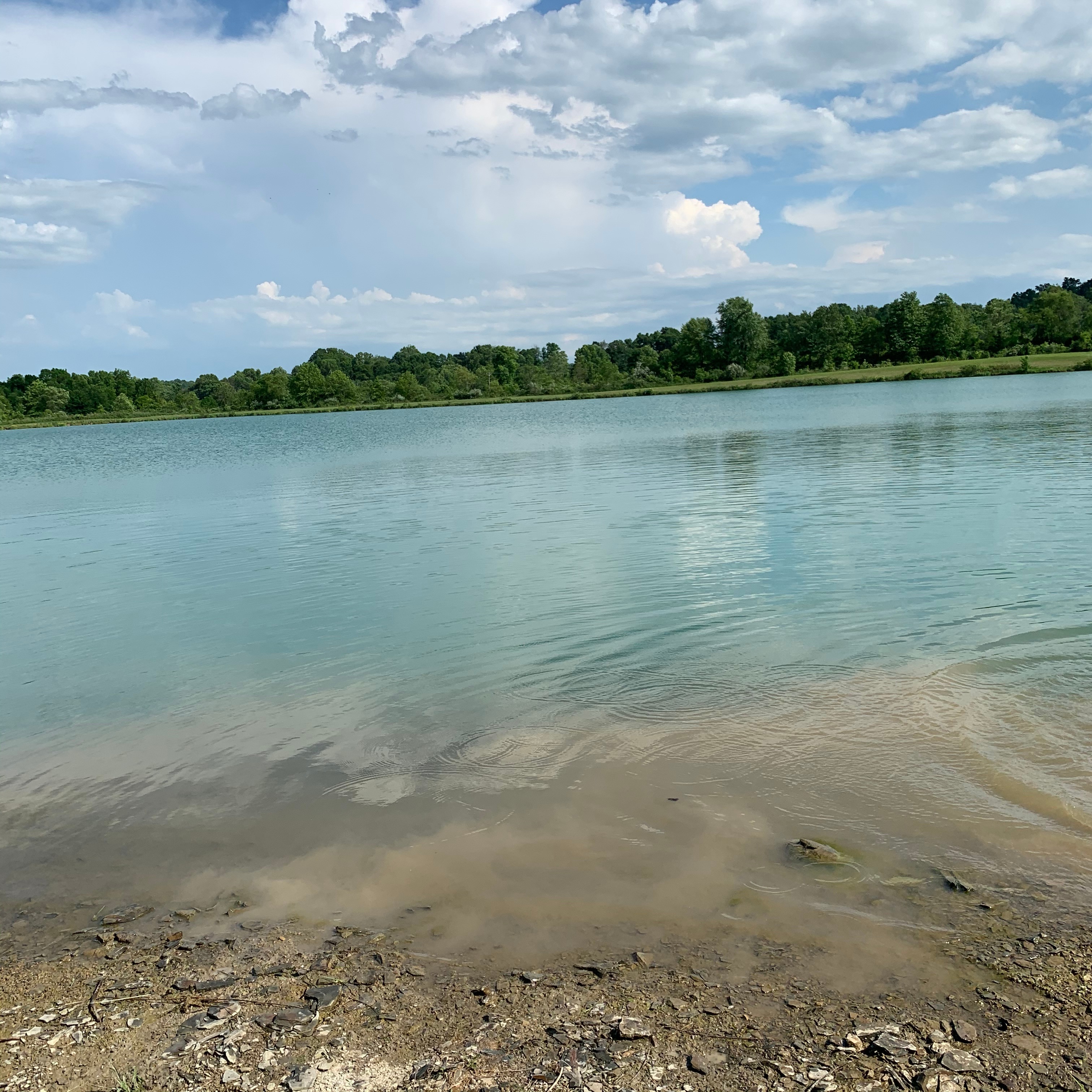 Fish Farm Camp