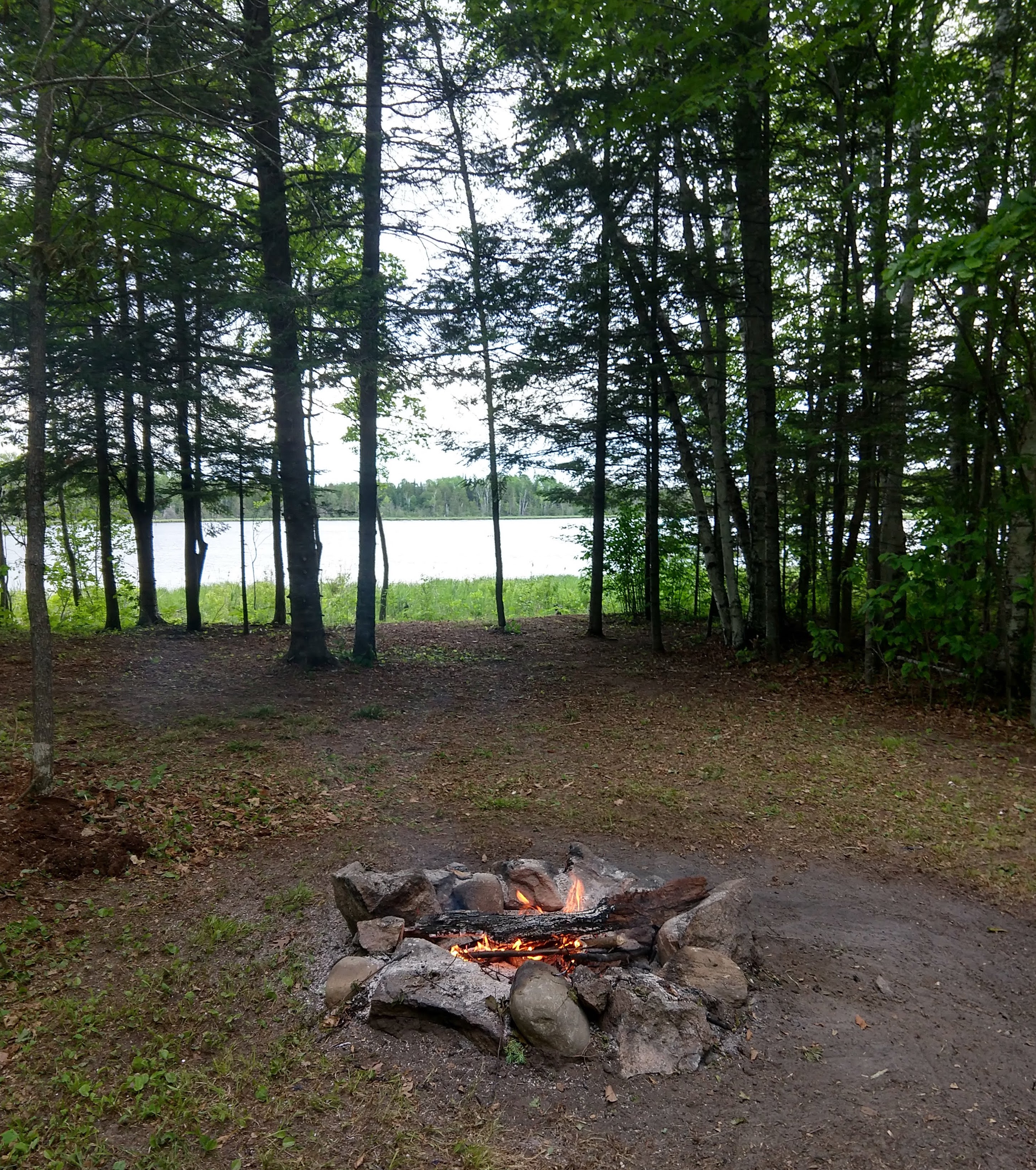 This is the Oak Campsite with rock fire ring.
