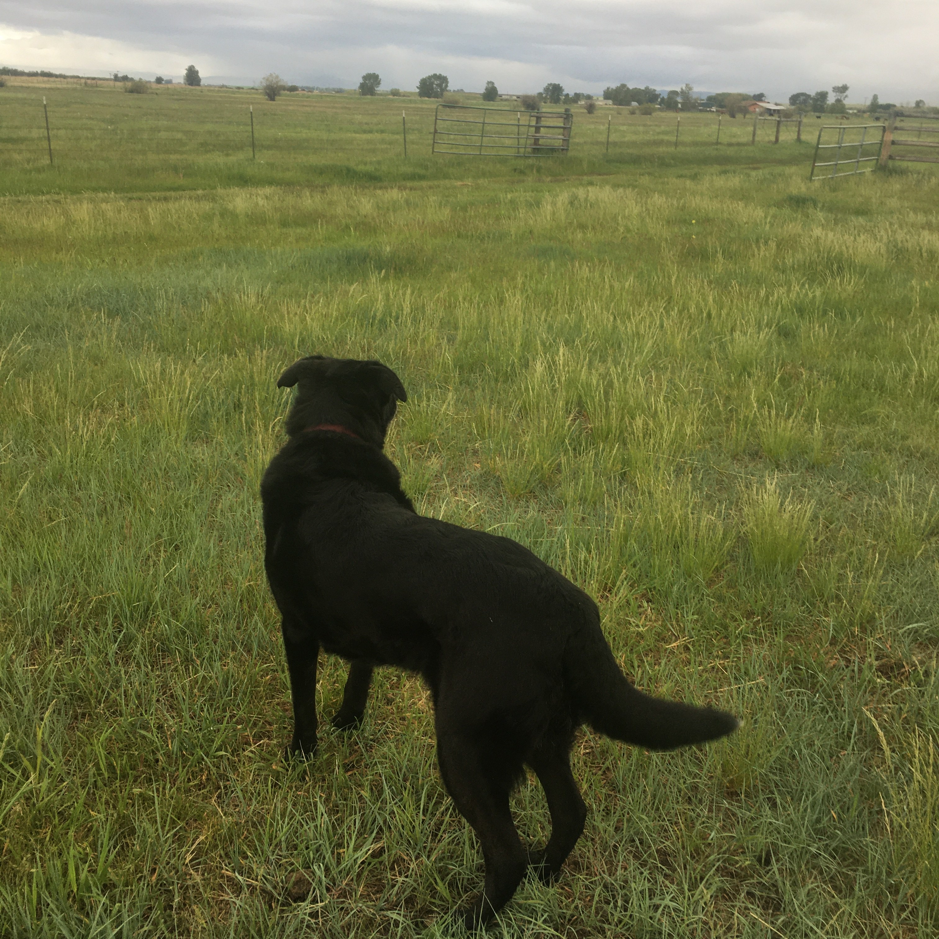 Hidden Meadow Ranch