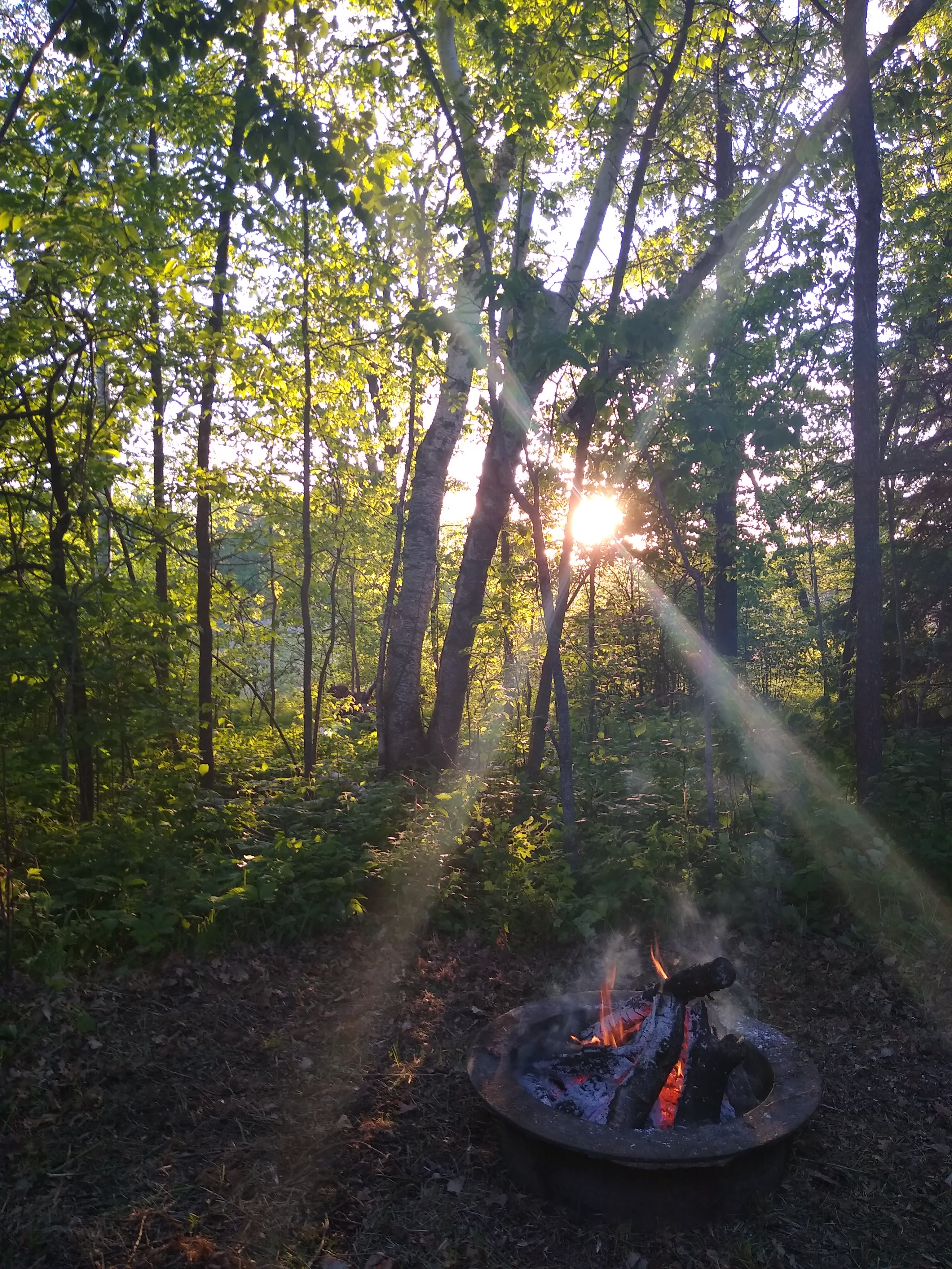 The fire pit from the caboose window