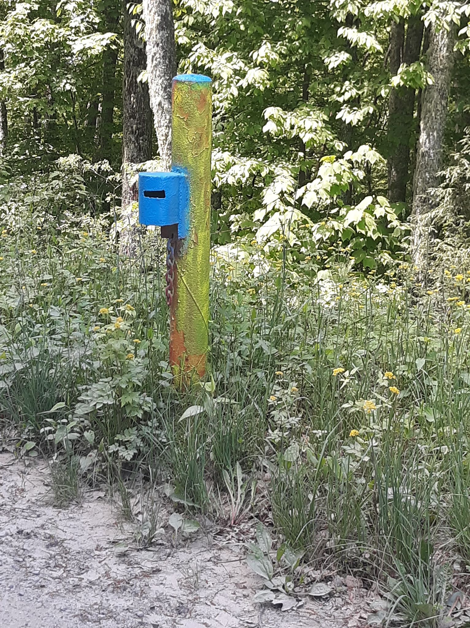 Pass through this colorful gate to follow the road. 3 miles of driving on gravel road down the mountain to the property