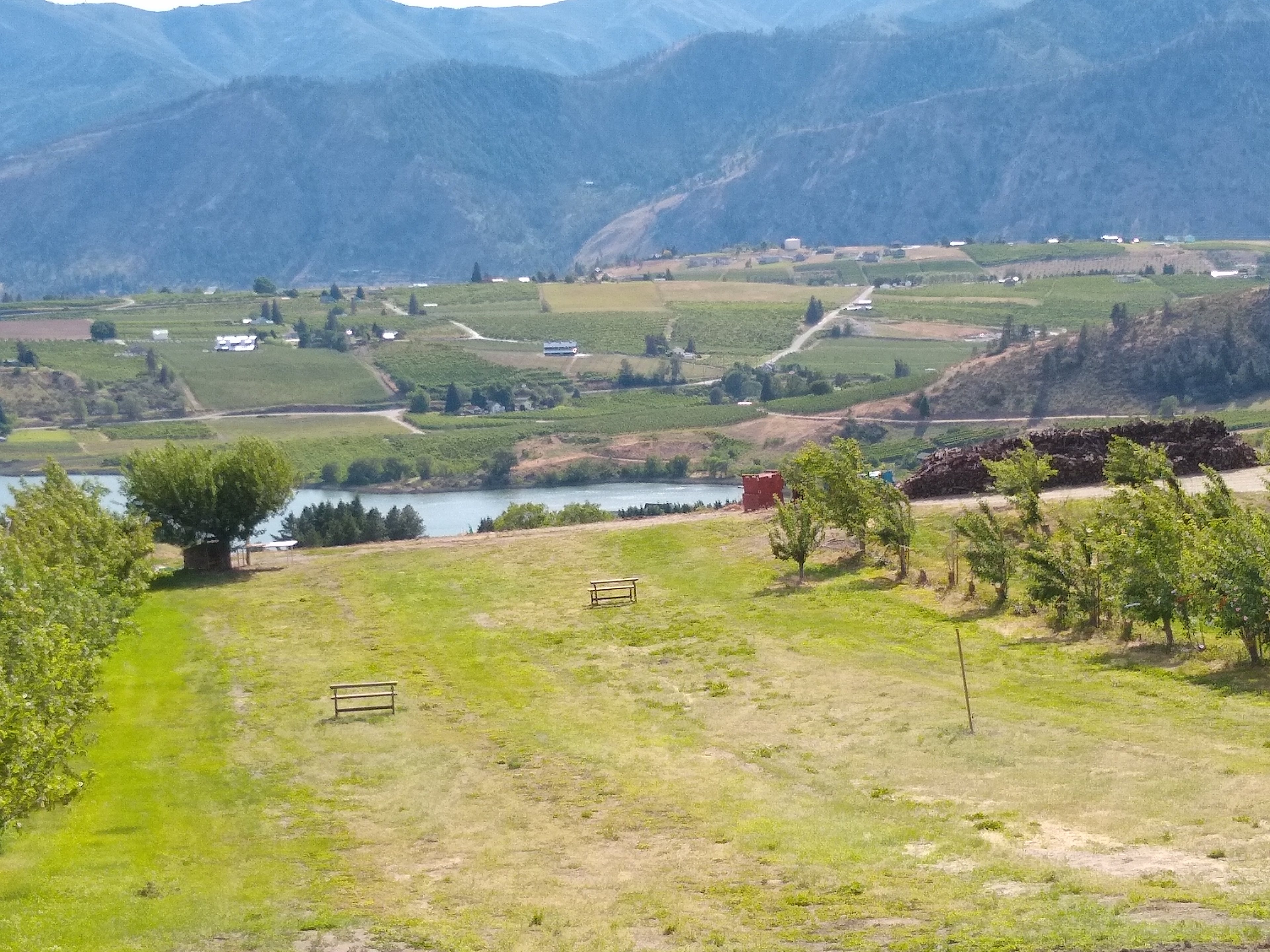 Camp between the apple orchard in this football field sized grassy field. Mountain and hillside views; Generous sites accommodate  tents to 30ft RV's/trailers: #2 flat (nearest driveway) gently increases slope w #3, #4, #5  Nearby solar shower, portable toilet