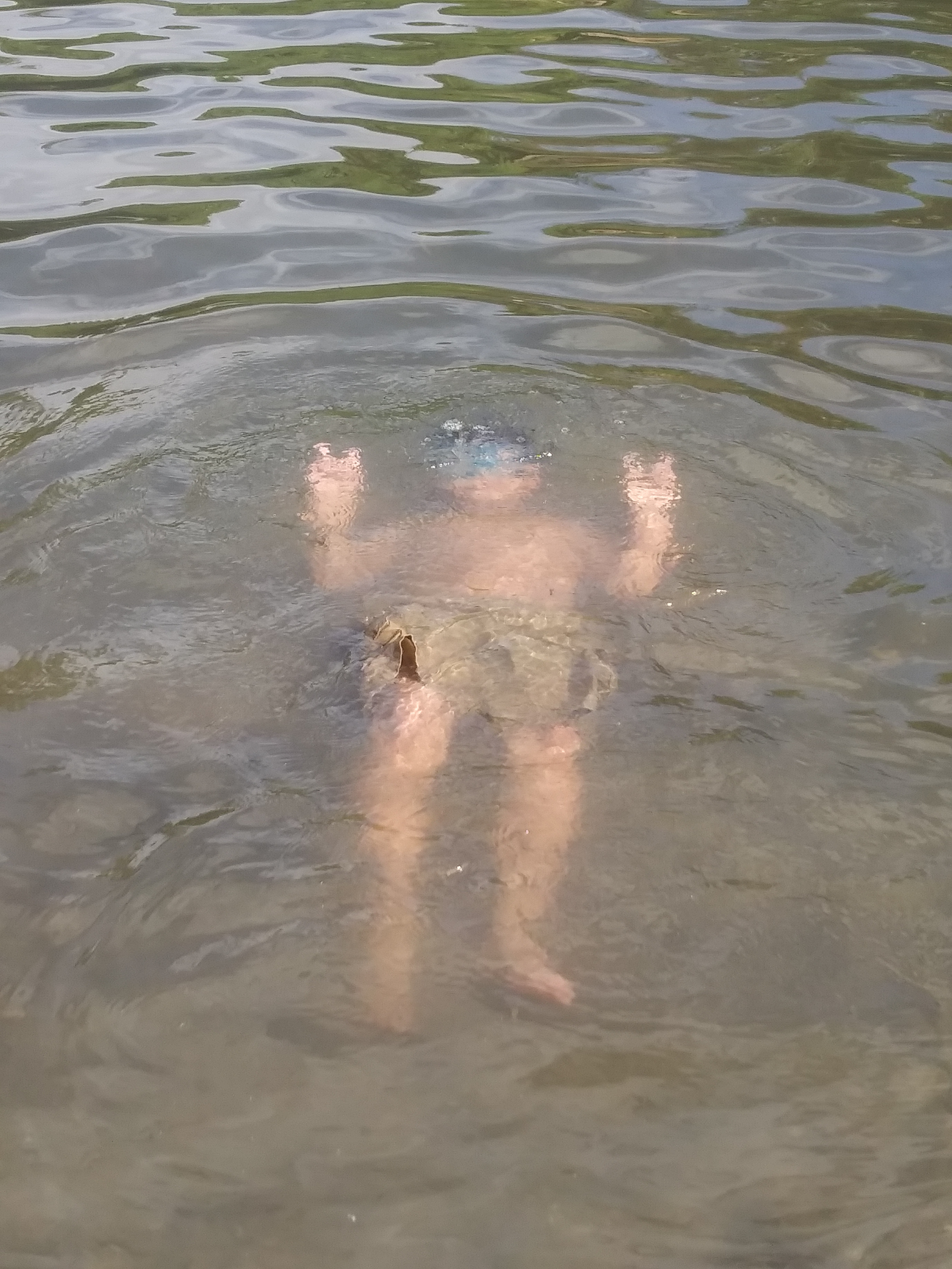 McConnell State Recreation Area