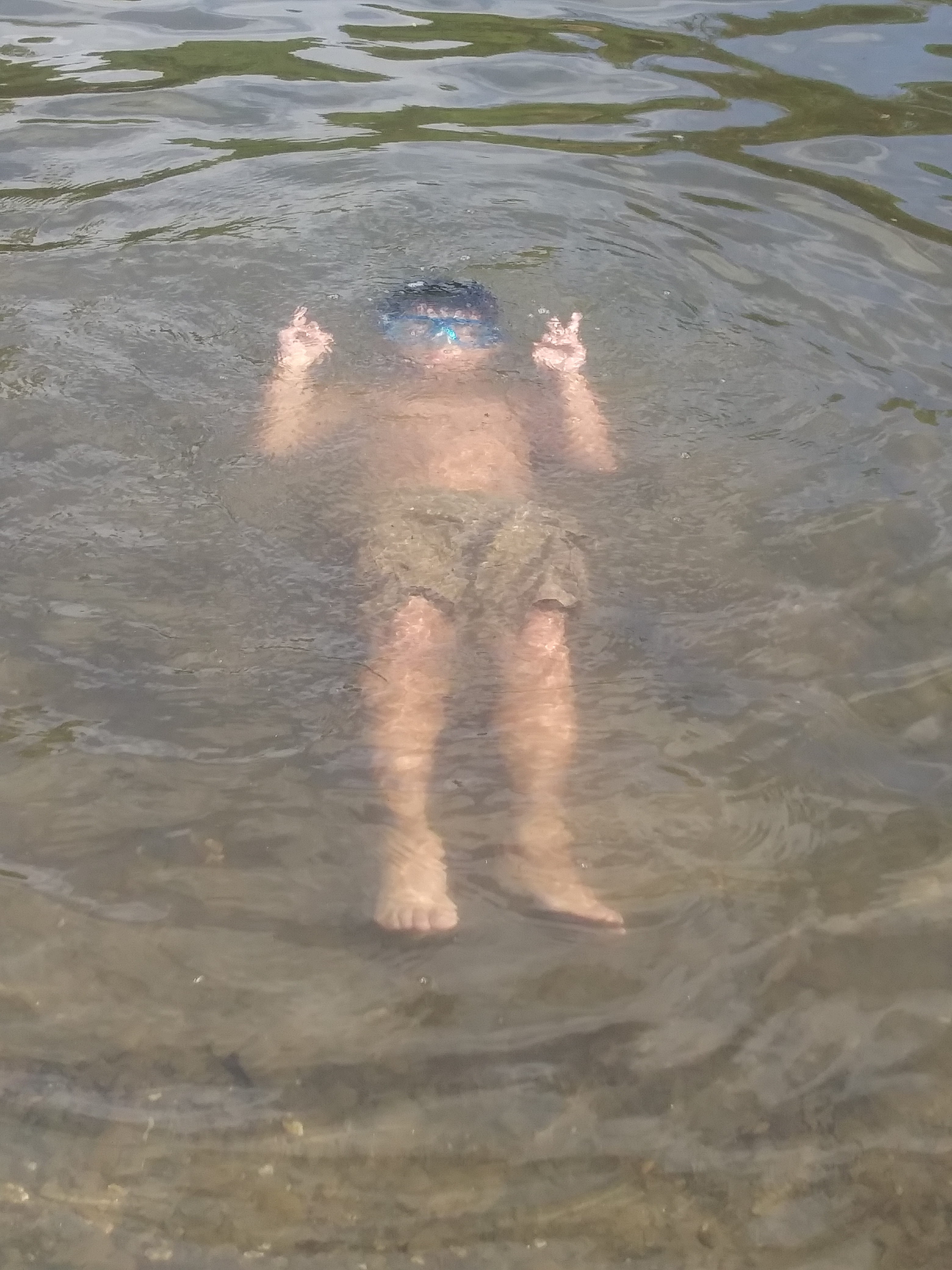 McConnell State Recreation Area