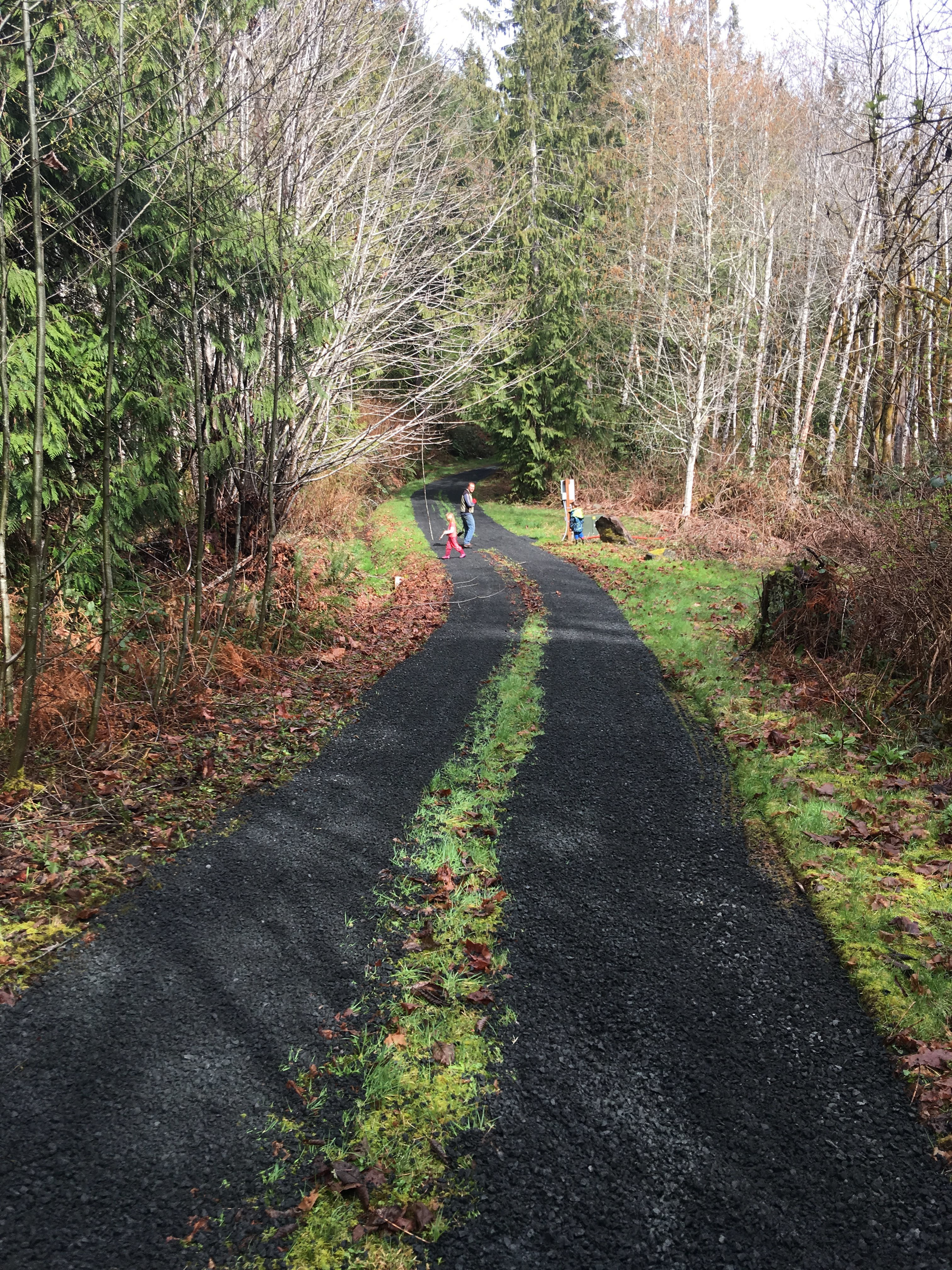 Road into camp.  Campsite seen on right side of road.