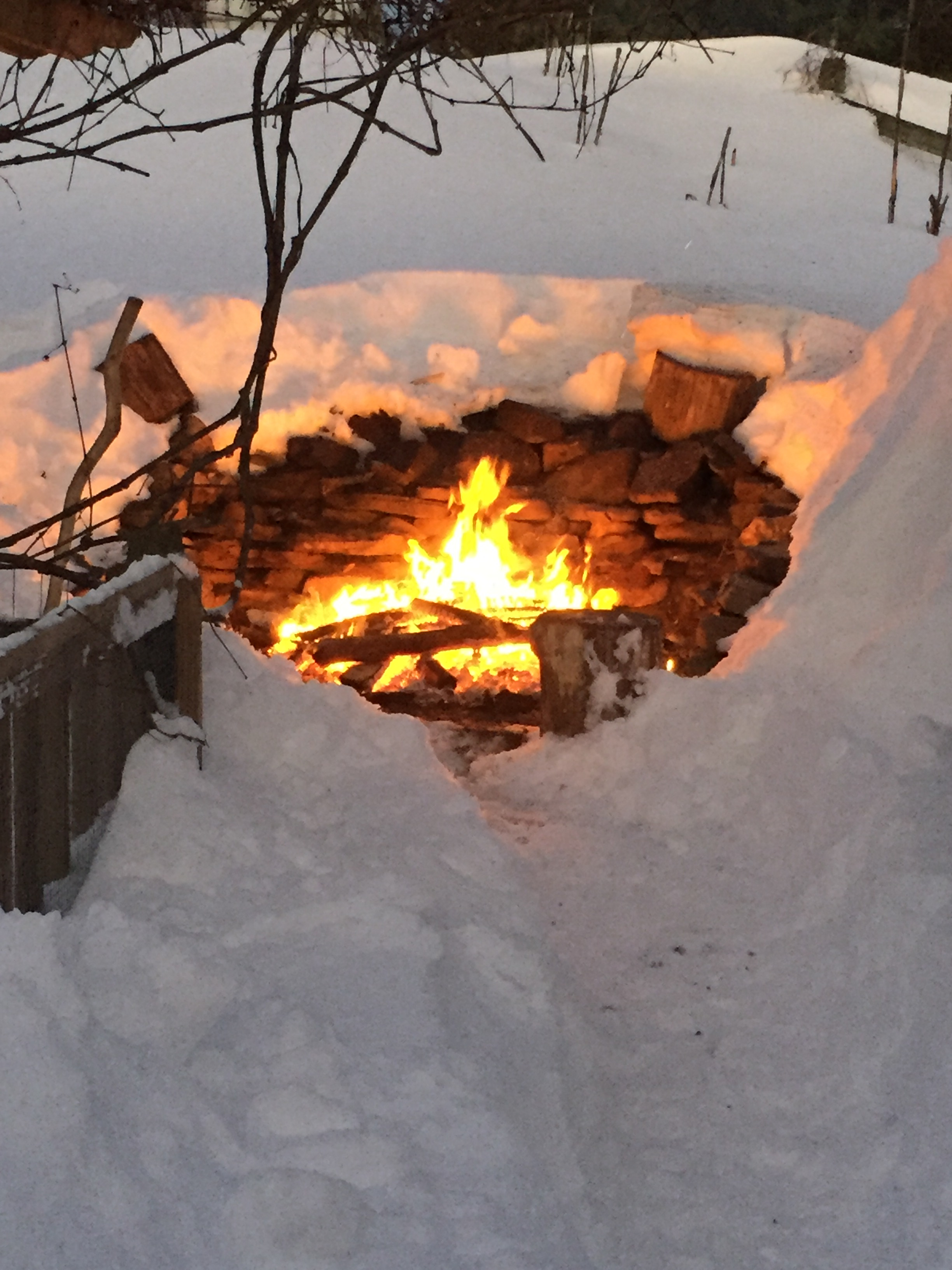 Campsite fire pit after last years snow storm.