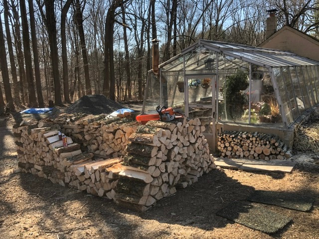 Much firewood