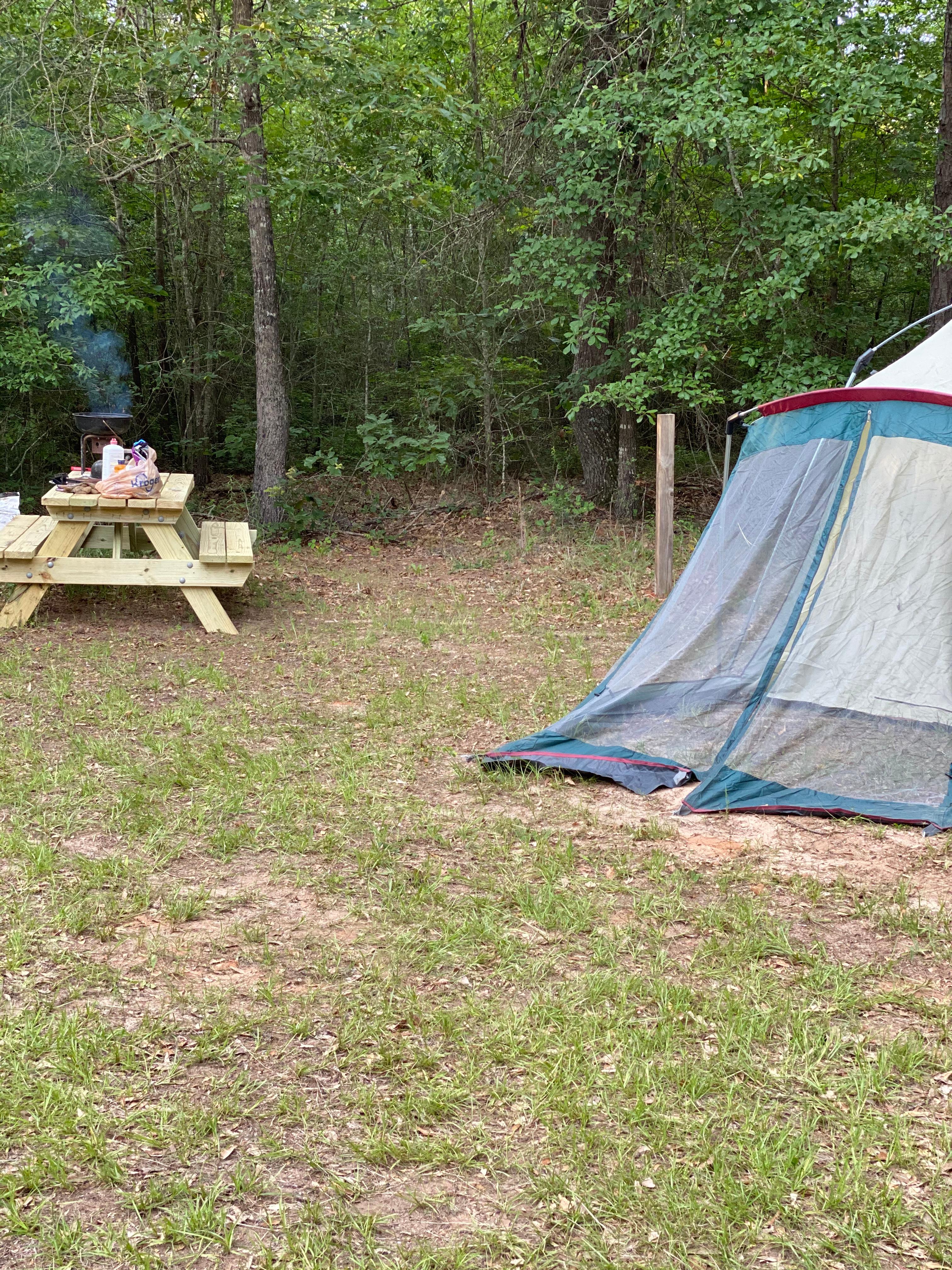 Spacious Tent site with available electrical outlets!