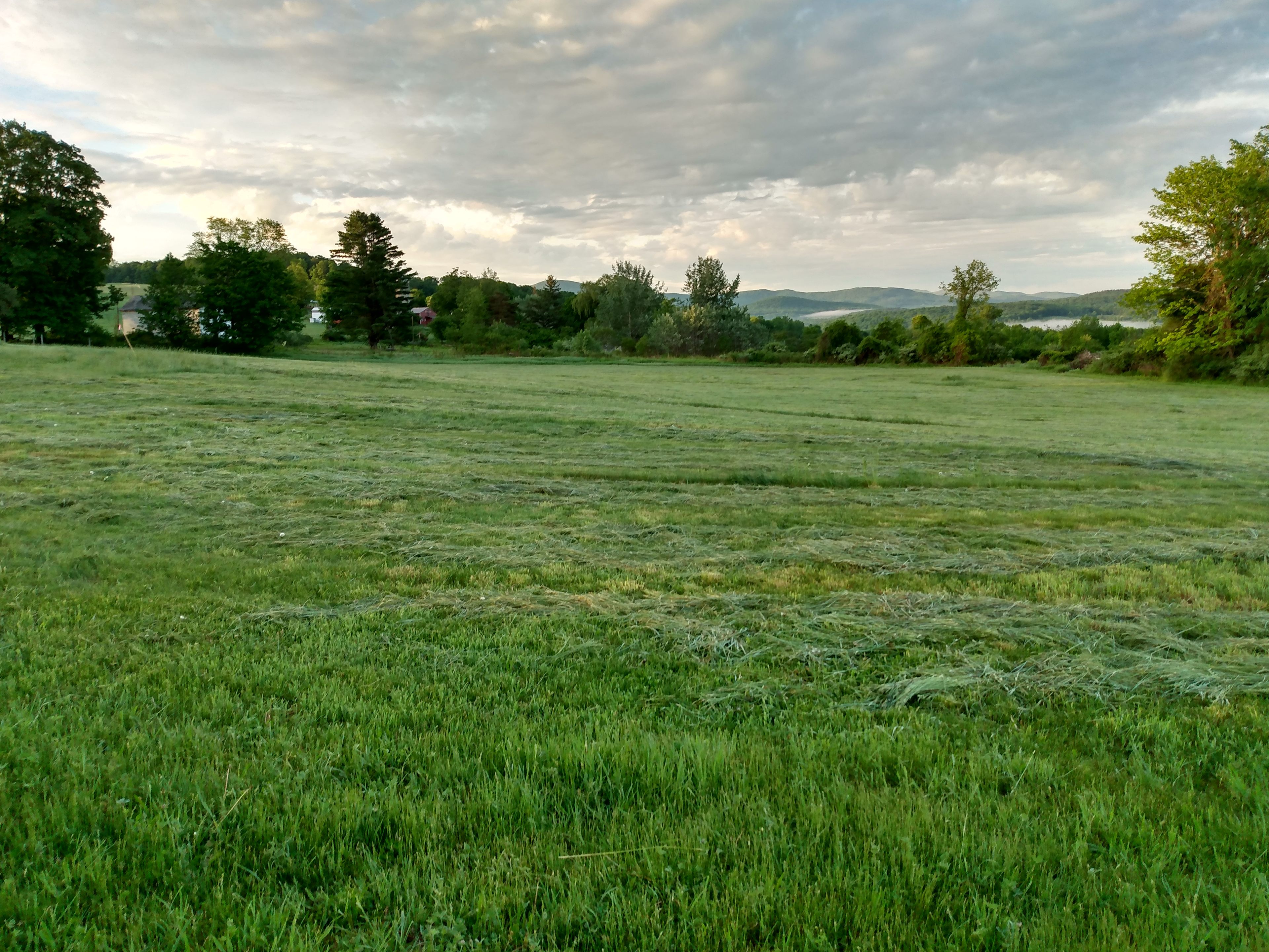 Another direction from Yon Barn.  You're under a tree, looking across hayfields to surrounding hills and mountains.