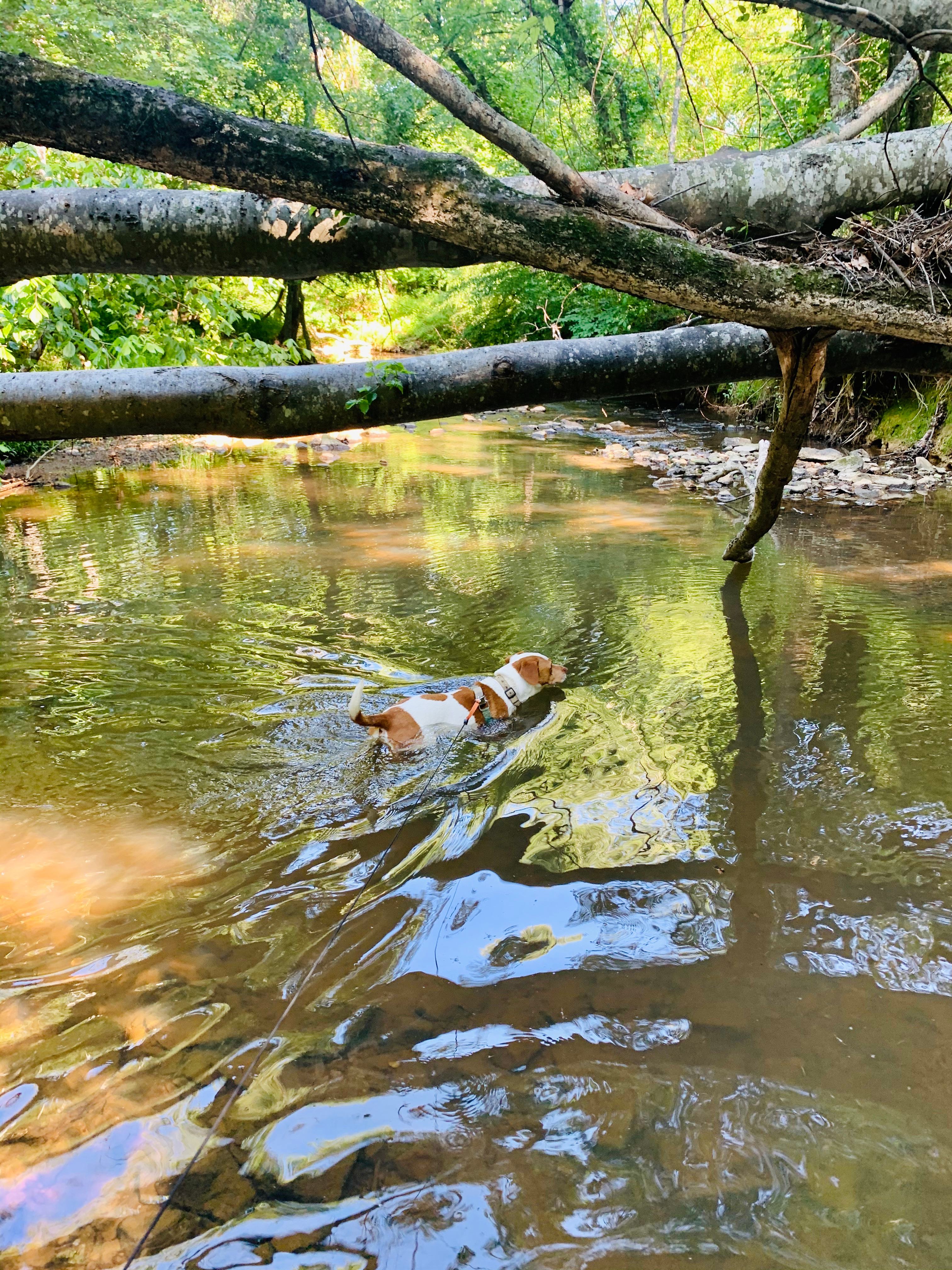 R.O.S.A Land Campground Piedmont NC
