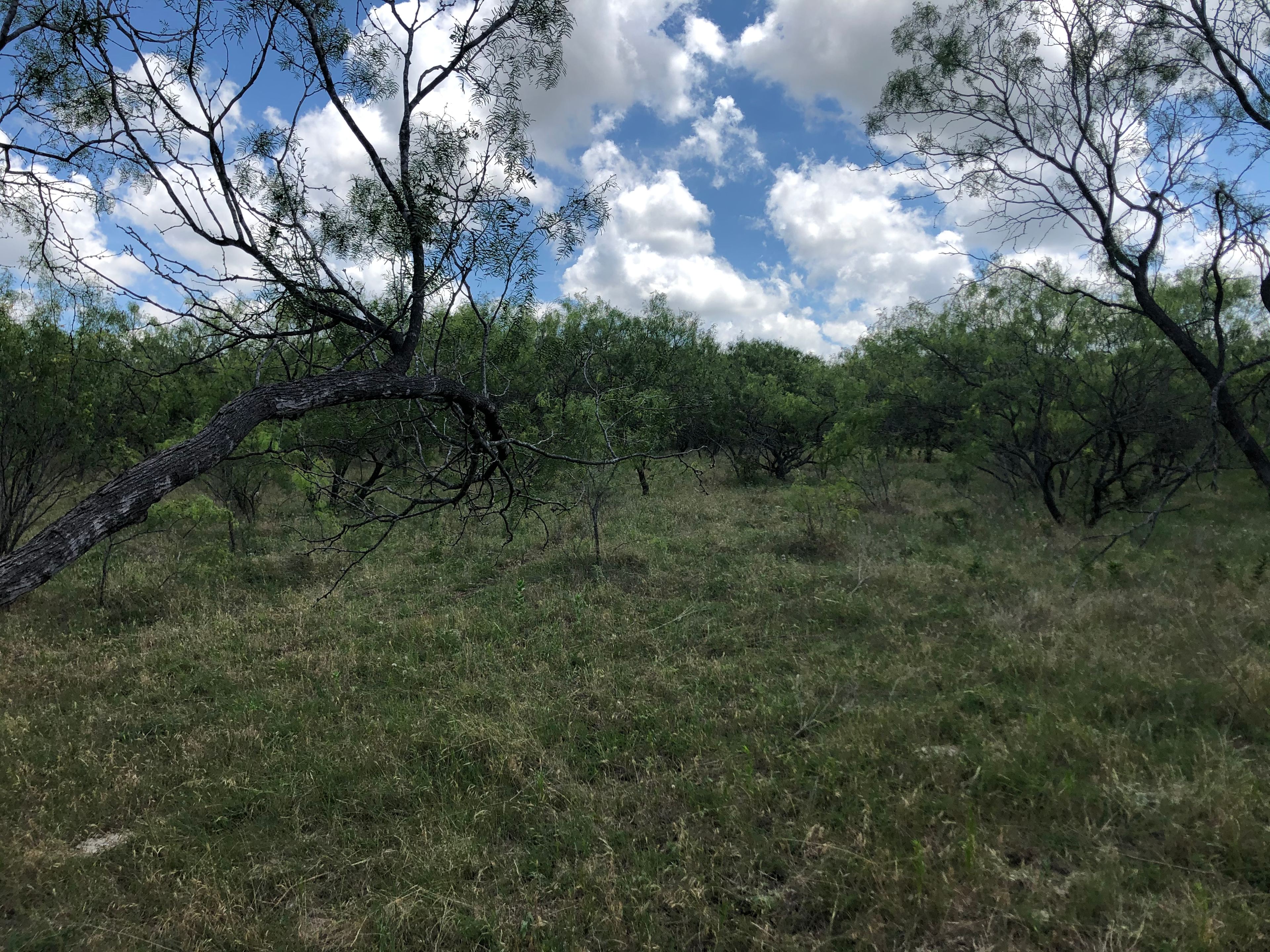 Camping area