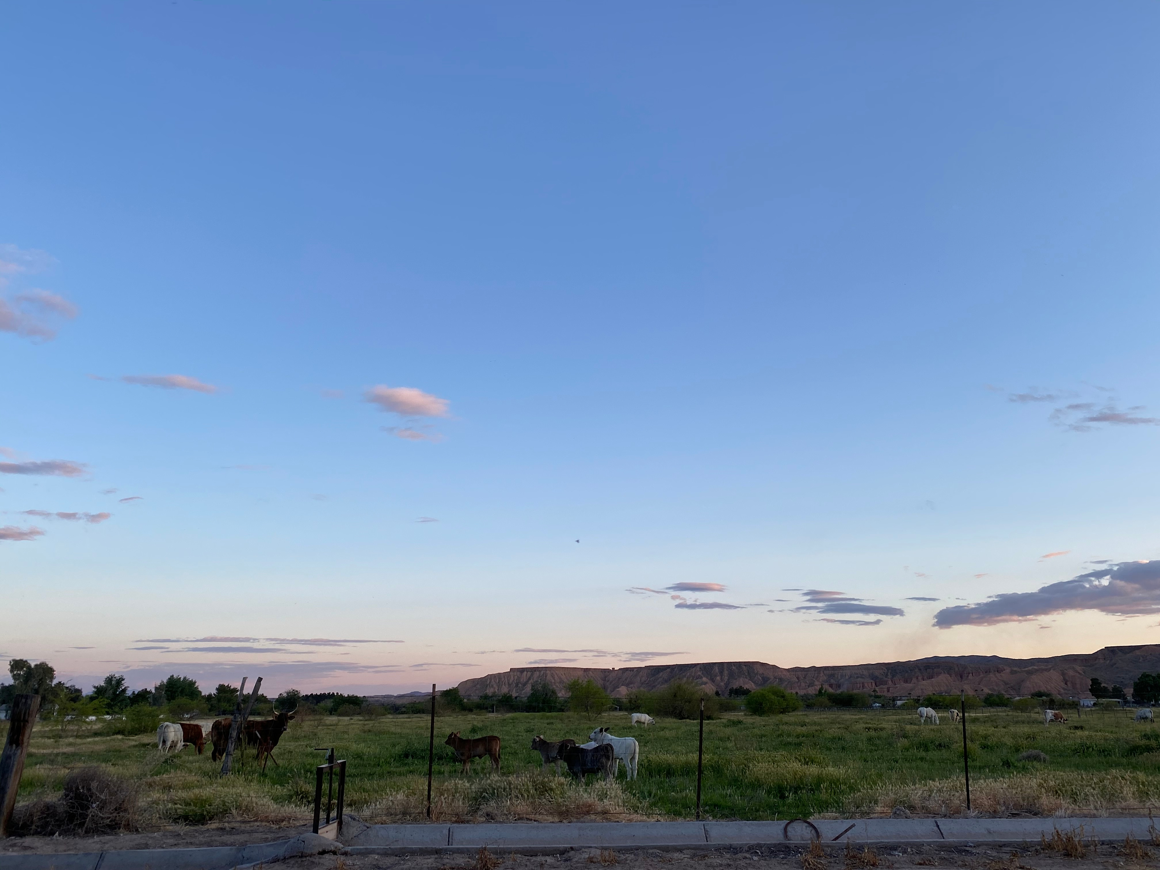 View from campsite